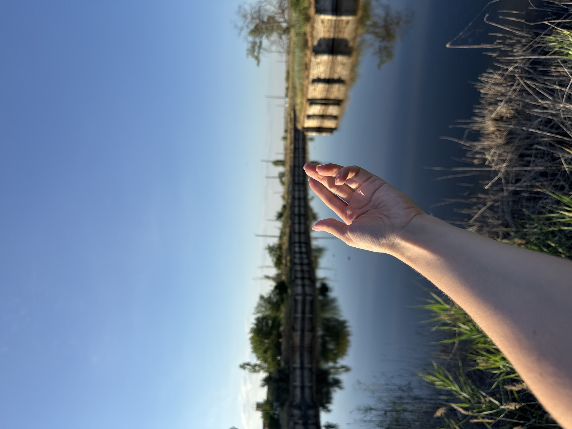 A first-person perspective shot shows a person's outstretched hand and arm reaching towards a calm body of water under a clear blue sky. The water, which appears to be a canal, reflects the surrounding environment, including the sky and vegetation along its banks. In the background, there are trees and some man-made structures, possibly remnants of industrial or port facilities. The presence of dry reeds and tall green grass in the foreground suggests a natural or semi-natural setting. The lighting indicates it is daytime, likely morning or late afternoon, given the soft, warm light. The overall scene conveys a sense of tranquility and perhaps contemplation, with the hand reaching out as if to touch or interact with the expansive water and sky. This image could potentially be located in an industrial or recreational area within the city of Odesa, Ukraine, where such canals are common due to its port city status.
