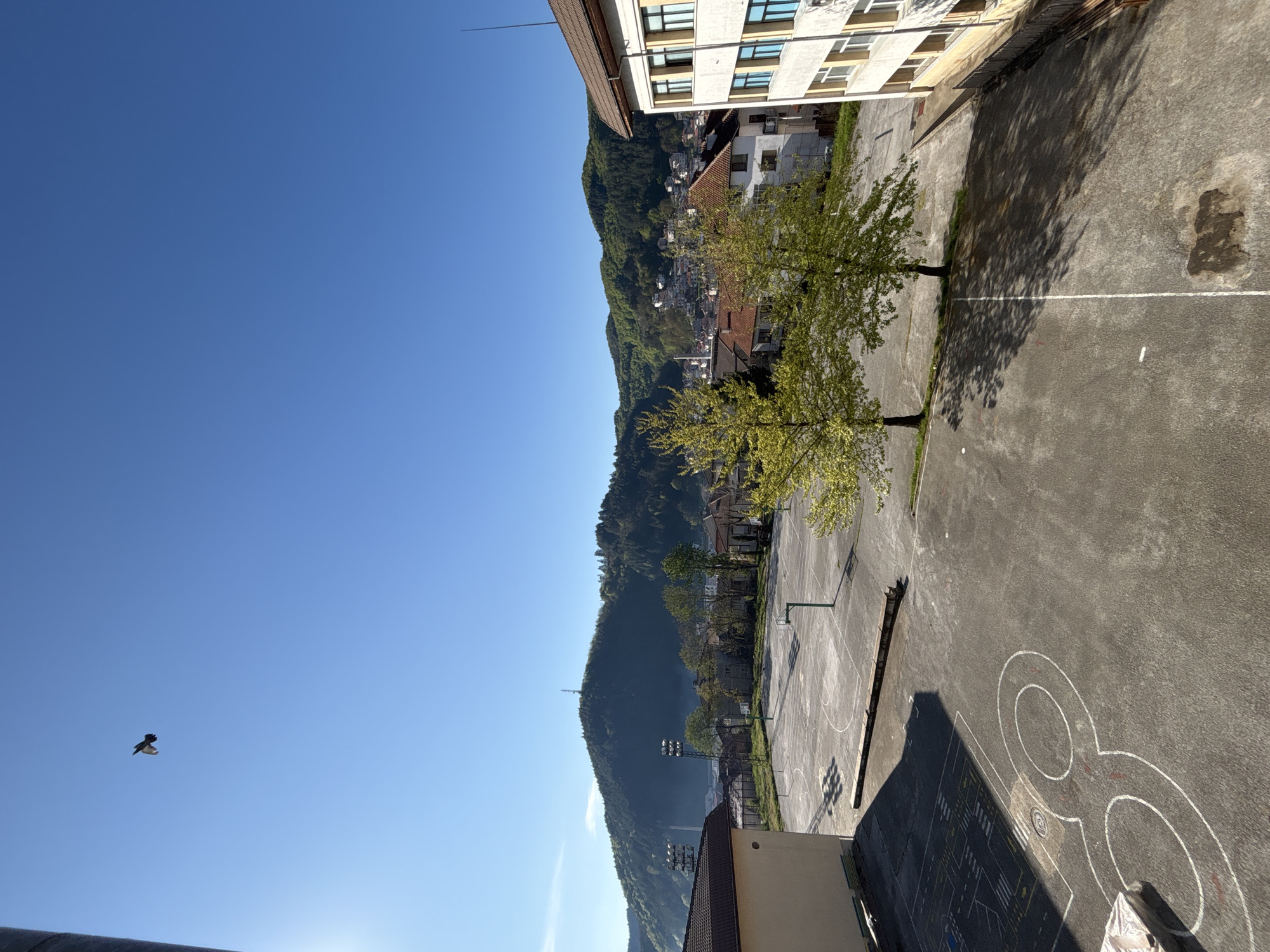 The image shows a view in Zlatograd, Bulgaria, possibly from an elevated position. In the foreground is an asphalt playground or courtyard, featuring painted markings, possibly for games or activities, including hopscotch. Two trees are present, casting shadows onto the ground. Beyond the playground is a view of a hillside covered in vegetation, with buildings nestled among the trees. In the far distance, other parts of the town can be seen. The sky is clear and blue, and a bird is visible. The picture is oriented with the sky to the left and the ground towards the right. There are no visible people.