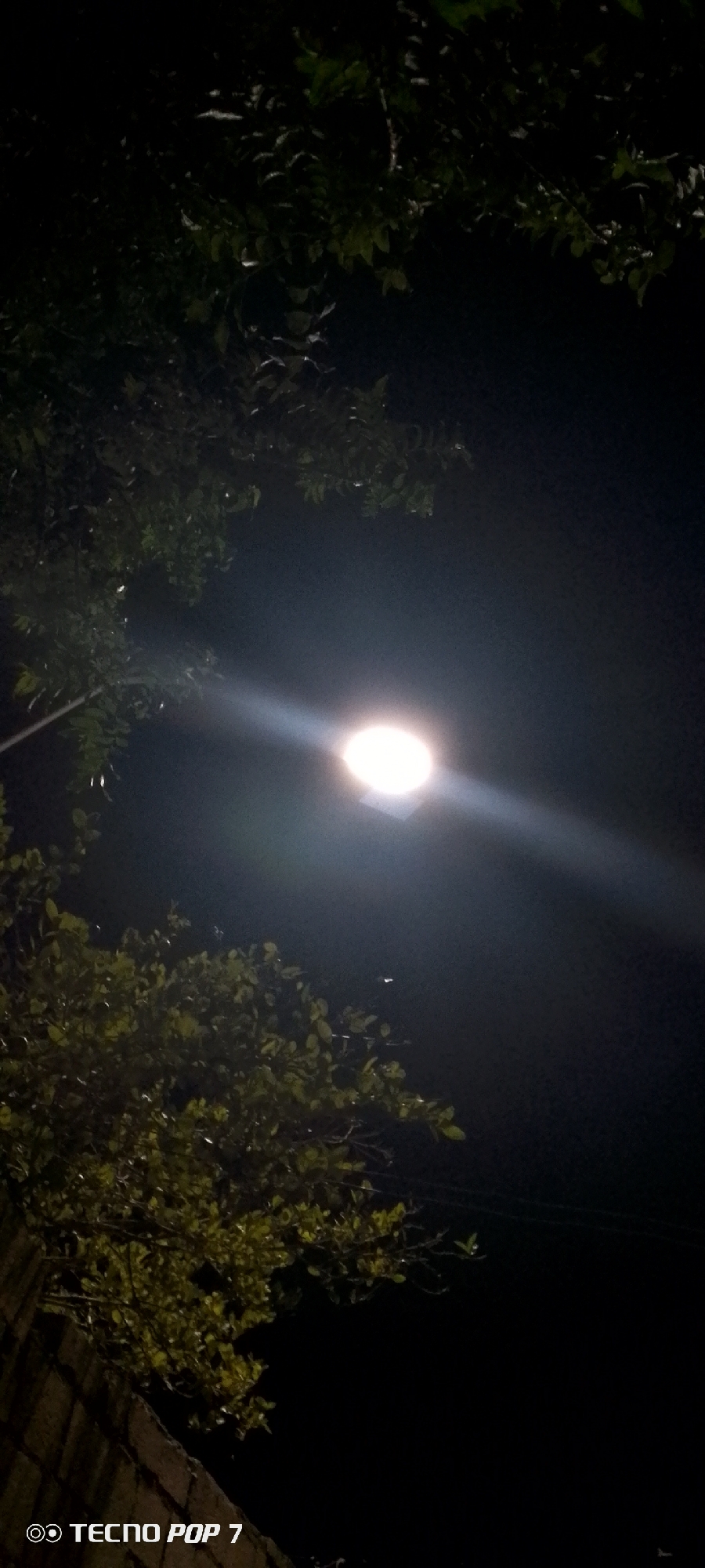 The image shows a night scene in Altagracia, Venezuela. A bright street lamp is positioned in the center, illuminating the surrounding darkness. Trees with dense foliage frame the top and sides of the image. In the lower left, there is a wall. The environment is dark, indicating that it is nighttime.