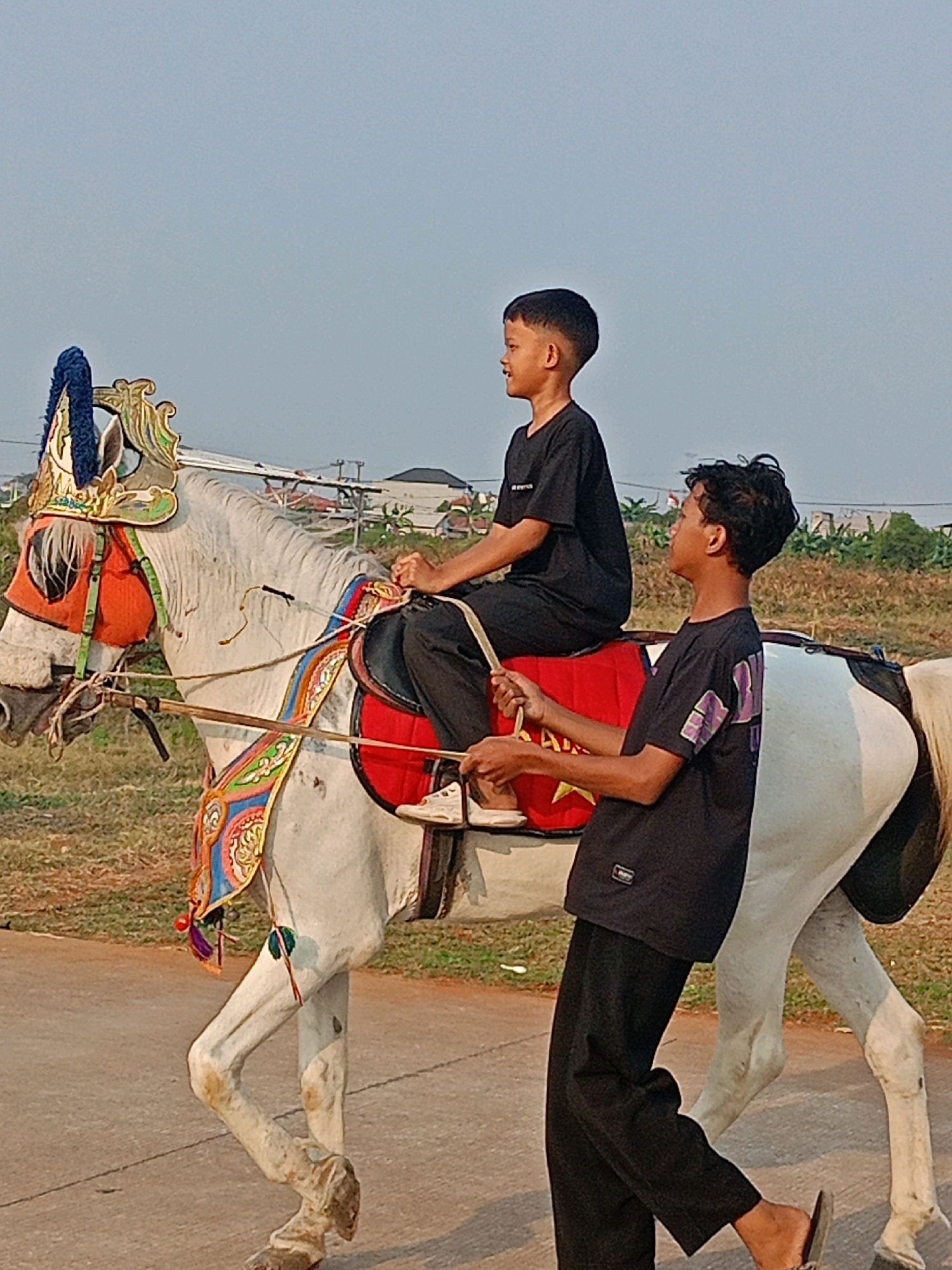 Two young males are present in the image. The male in the foreground, positioned to the right, is wearing a black t-shirt and dark pants. He is holding a stick, and his head is turned to the left, looking towards the horse. The second male, seated on the horse, is wearing a black t-shirt and dark pants. He is facing to the left, looking away from the camera.
The primary subject is a white horse adorned with colorful decorative tack, including a headdress, breast collar, and saddle pad. The horse is walking on a paved surface, possibly a road or path. The environment appears to be outdoors, with dry, grassy terrain and some vegetation visible in the background. A few structures, possibly houses or buildings, are also present in the distance, along with utility poles and wires. The sky is clear and light blue, suggesting it is daytime. The lighting indicates late afternoon or early morning sun.