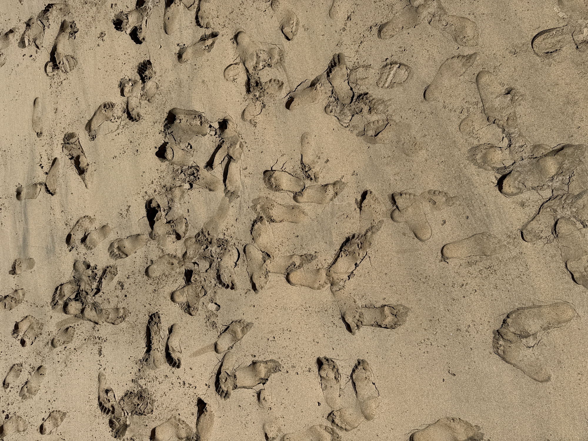The image depicts a sandy surface, likely a beach, with numerous human footprints scattered across it. The sand is a light tan color and appears to be slightly damp. The footprints vary in size and depth, suggesting that different people or the same person at different times have walked across the area. The scene is located on a beach in Pájara, Spain. There is no other human presence, other animals, or objects visible other than the sand and footprints.