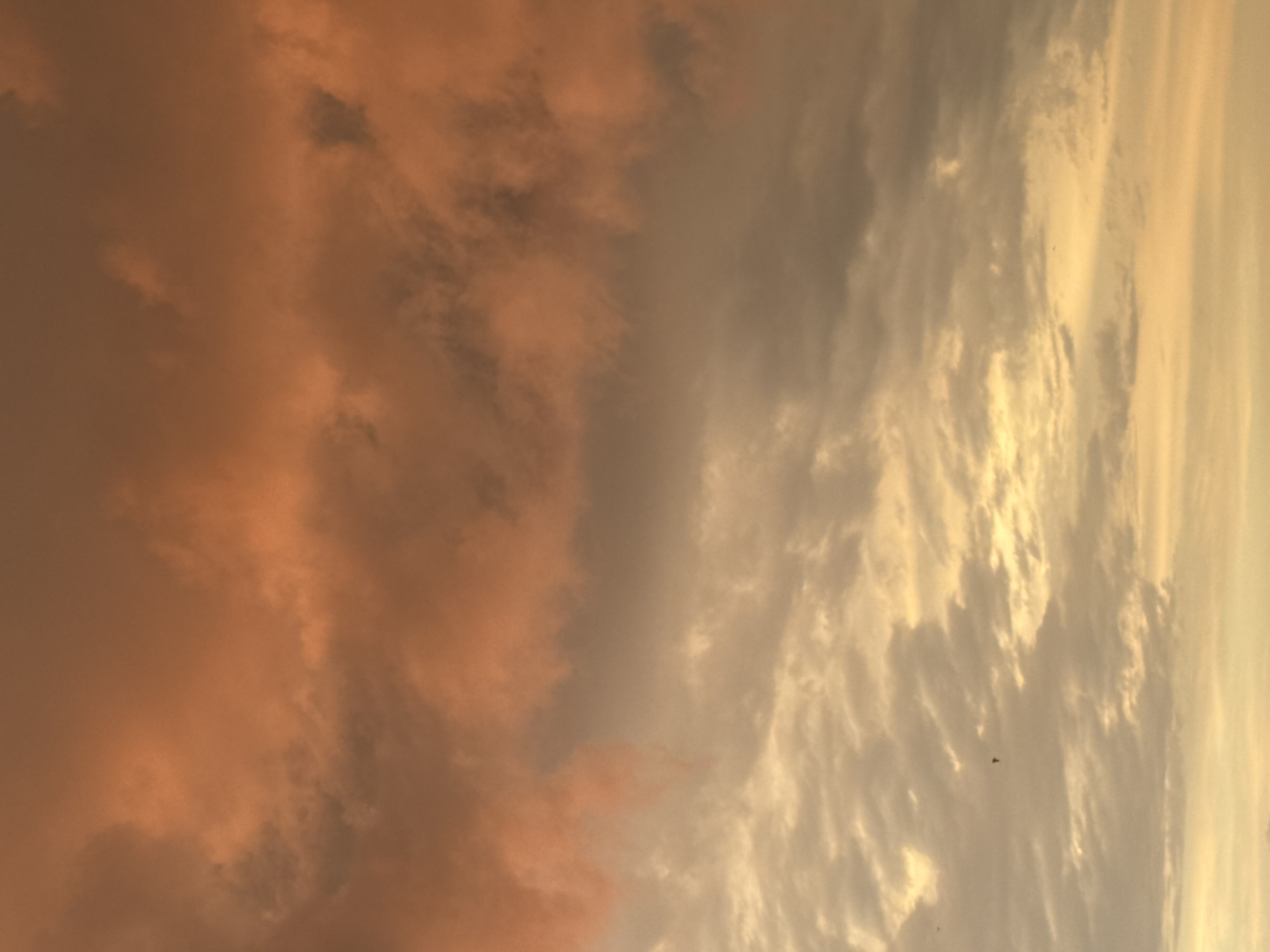 The image is a close-up, vertical shot of a sky filled with clouds. On the left side, the clouds are a deep, warm orange, suggesting they are catching the light of either sunrise or sunset. These clouds are dense and textured, with some darker areas indicating shadows or deeper formations.
As the image moves to the right, the clouds transition into lighter shades of gray, beige, and pale yellow. These clouds appear more wispy and streaky, with streaks of light shining through, particularly in the far right portion of the image. The overall impression is a dramatic sky, likely at dusk or dawn, with contrasting light and shadow playing across the cloud formations.
There are no people or man-made objects clearly visible in the image. The scene is purely natural, focusing on the atmospheric conditions of the sky. The play of colors and light evokes a sense of awe or tranquility, depending on the viewer's interpretation. The time of day is strongly suggested to be either sunrise or sunset due to the intense orange hues on one side and the golden light on the other. There are no visible text elements in the image.