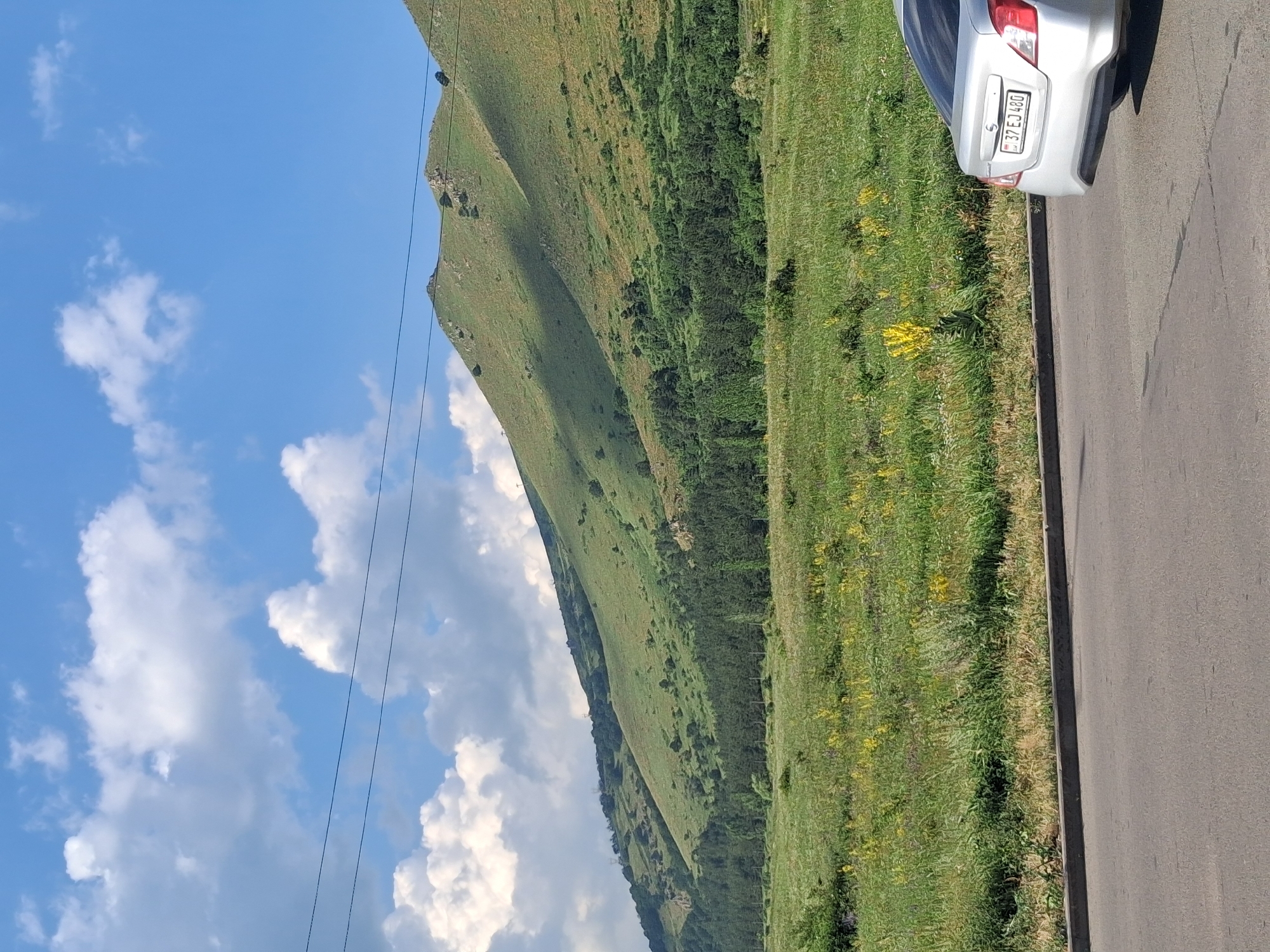 A silver sedan with license plate 37 EJ 480 is parked on the right side of an asphalt road. The car is angled towards the viewer, showing its rear bumper and taillights. Beyond the road is a grassy field with scattered yellow wildflowers. In the background, a lush green mountain slopes upward, dotted with trees and rocks. The sky is a vibrant blue with scattered white clouds, and power lines stretch across the upper portion of the frame. The scene appears to be a landscape in or near Jermuk, Armenia, suggesting a scenic, natural setting.