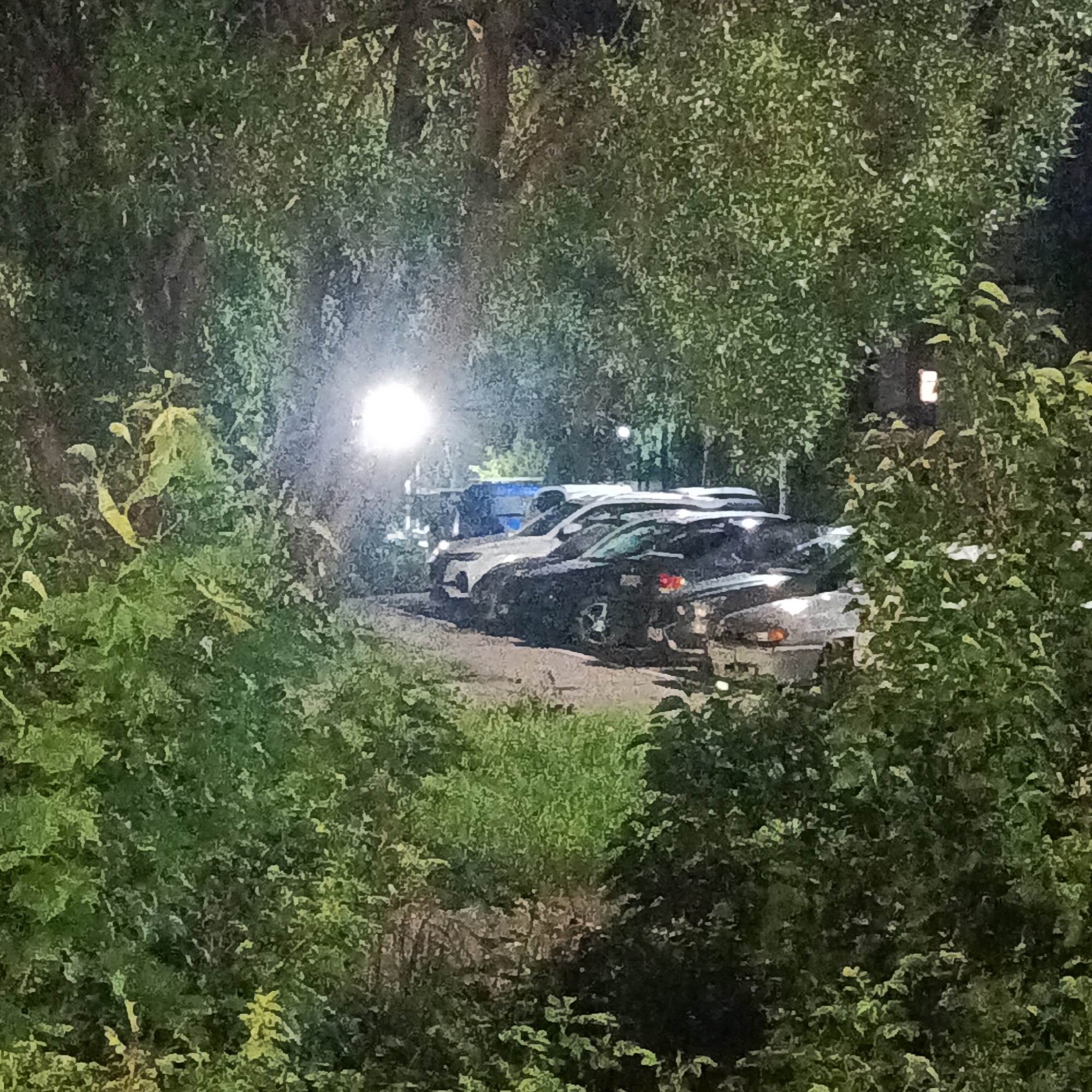 The image shows a parking lot in Марковский, Russia at night. Several cars are parked under the light of a street lamp. The view of the parking lot is partially obscured by trees and bushes. A building with a lit window is visible in the background behind the cars and trees. The scene is generally dark due to the nighttime conditions.