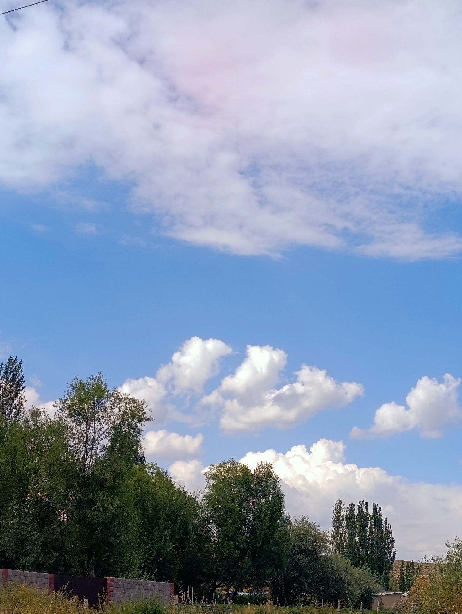 The image captures a view of the sky and trees in the city of Kyzyl-Jyldyz, Kyrgyzstan. The sky is a vibrant blue, adorned with scattered white cumulus clouds. In the foreground, a line of lush green trees forms a natural barrier. Below the trees, a low wall constructed of grey bricks is visible, and beyond it, hints of dry grass and a dark metal fence suggest a rural or semi-rural setting. The overall impression is one of a tranquil, outdoor scene under a bright sky.