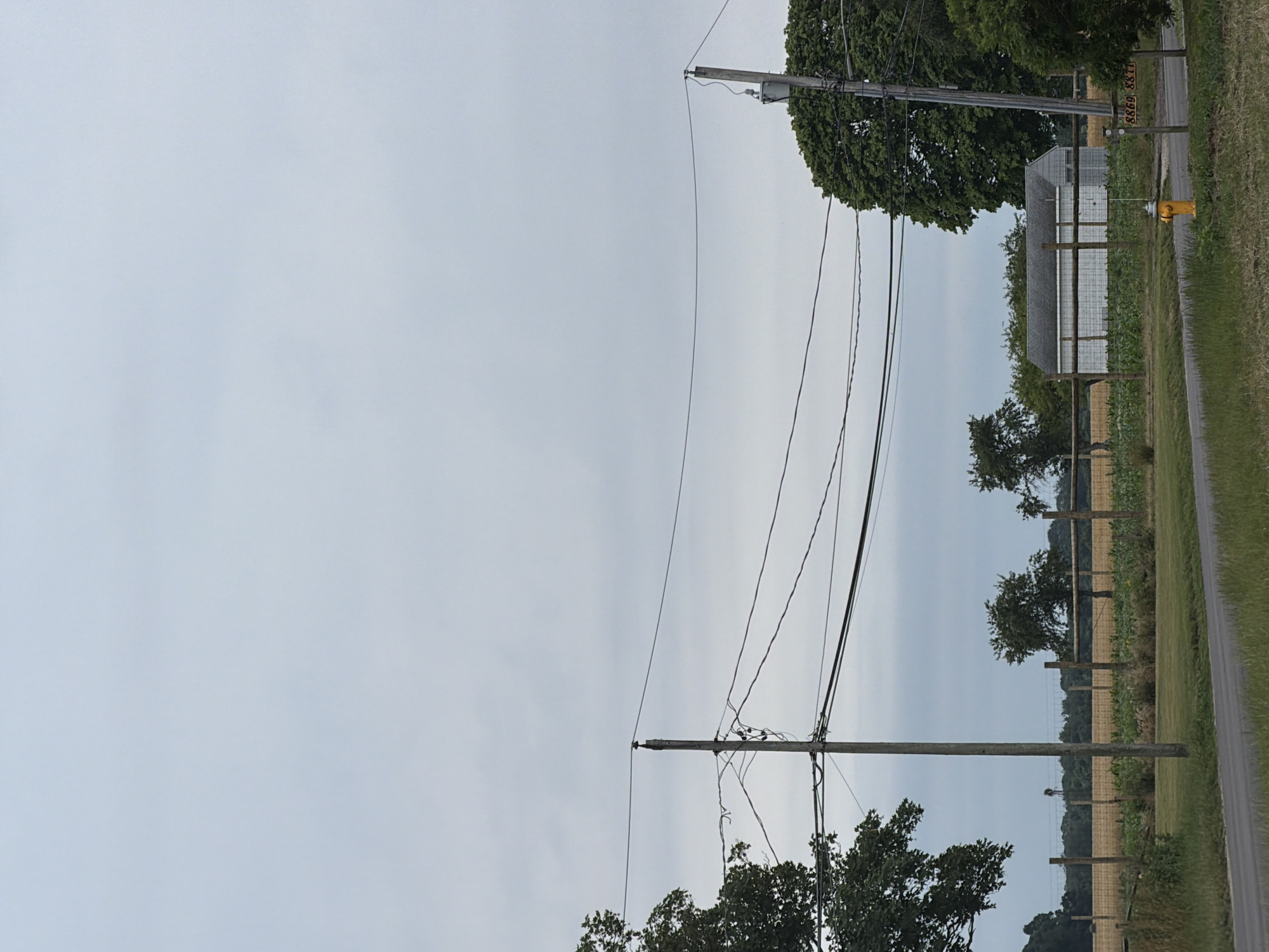 This media file depicts a rural roadside scene with power lines and vegetation. A wooden utility pole, a significant object in the frame, is positioned in the foreground. Several black power lines are strung between poles, some appearing taut and others sagging. Beyond the power lines, a long, low building with a gray roof and white siding is visible, possibly a barn or agricultural structure. A chain-link fence runs along the property line, enclosing a field with sparse vegetation. A bright yellow fire hydrant stands near the fence. A paved road runs along the right side of the image, bordered by a grassy verge. Trees with dense green foliage are scattered throughout the scene, some framing the building and others further in the distance. The sky is overcast, suggesting a cloudy day. The overall setting appears to be a rural area in the United States of America, likely Mattituck, given the provided location context. There is no visible text within the image. The scene is calm and devoid of any human presence or activity. The time of day is difficult to determine precisely due to the overcast sky, but it appears to be daytime.