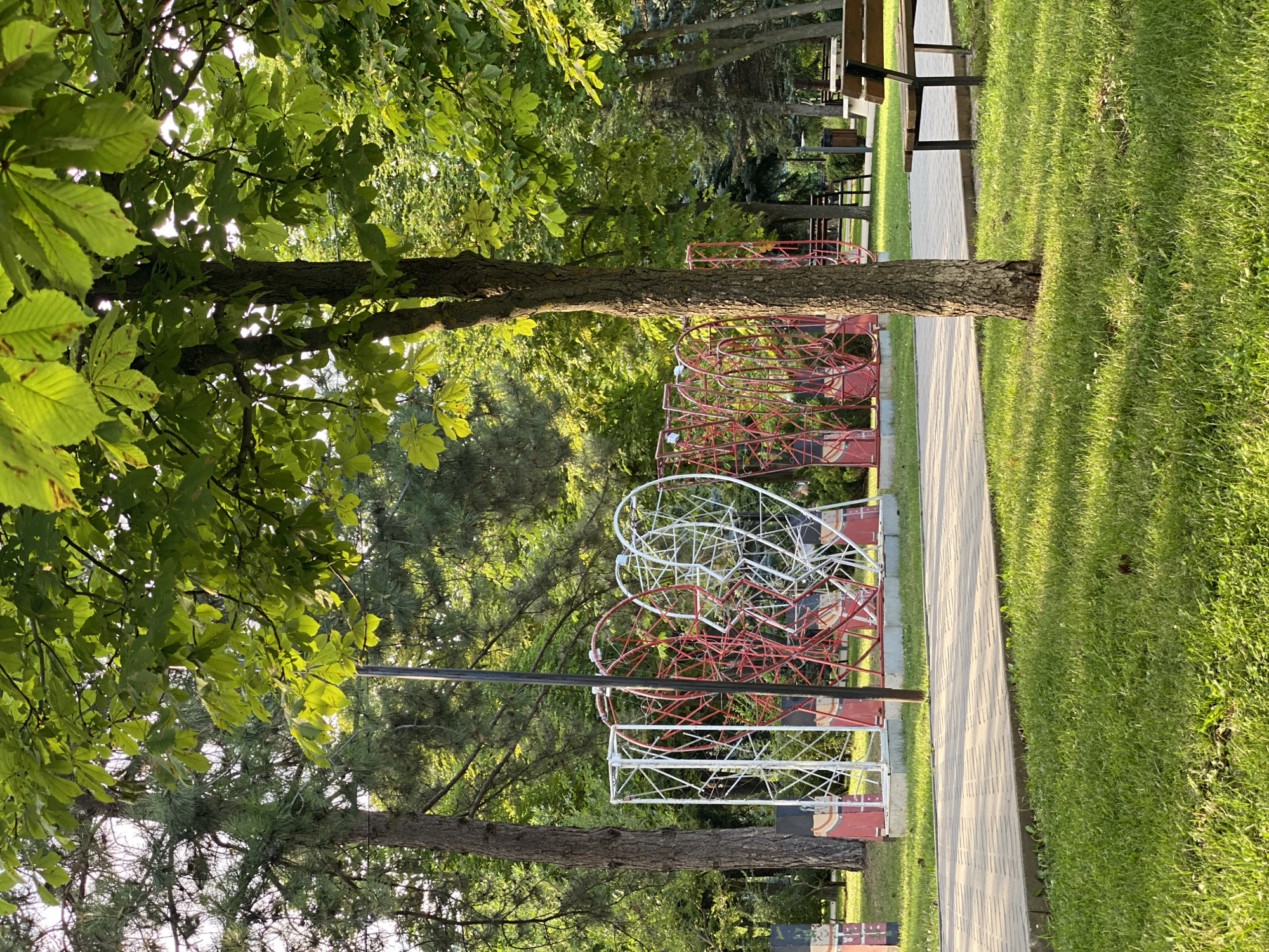 The image depicts a park in Chișinău, Moldova, with a focus on a large, heart-shaped metal sculpture and a paved walkway. The sculpture is a series of interconnected red and white wireframe hearts, forming a tunnel-like structure. In the foreground, a neatly mowed green lawn is visible, with a paved pathway running diagonally from the lower left to the middle right of the frame. A wooden park bench is situated to the right of the pathway. Several trees with lush green foliage are scattered throughout the park, with one prominent tree in the mid-right foreground casting shadows on the lawn. In the background, more trees and a lamppost are visible. The overall impression is a serene, outdoor public space.
