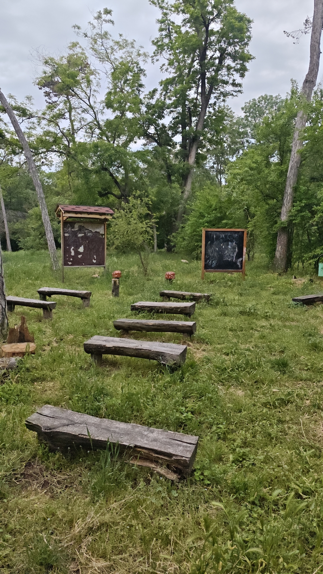 The image depicts an outdoor classroom setting located in a grassy area with trees, likely within the city of Burgas, Bulgaria. There are several wooden benches arranged in rows, and a wooden structure with a dark-colored display board is situated in the background. Additional wooden benches and cut logs are scattered throughout the space. Another wooden structure with a map or information board is also visible. The scene appears to be set in a park or green space on an overcast day. No people are visible.