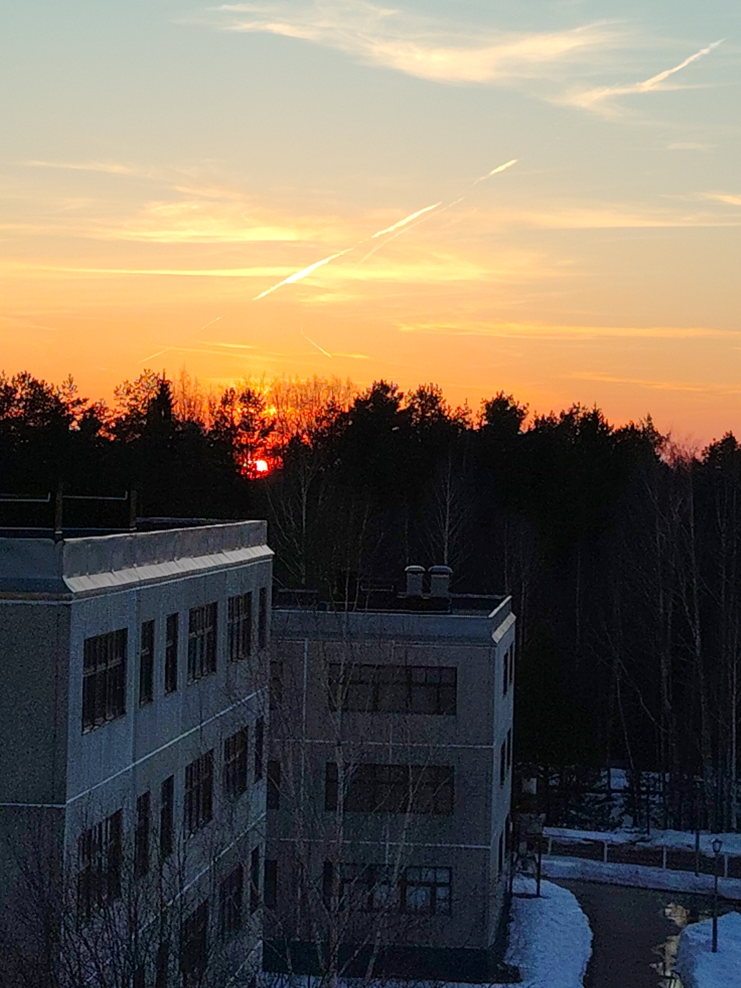 The image captures a sunset over a forested area in the city of Марковский, Russia, with two multi-story concrete buildings in the foreground. The sky is streaked with orange and yellow hues, featuring several contrails from aircraft. The forest appears dark and silhouetted against the bright sky, with the sun partially visible through the trees. The buildings are constructed in a Soviet-era architectural style, with rectangular windows and flat roofs. Patches of snow are visible on the ground near the buildings and along a paved road. Bare trees are in front of the buildings, indicating a cold season.