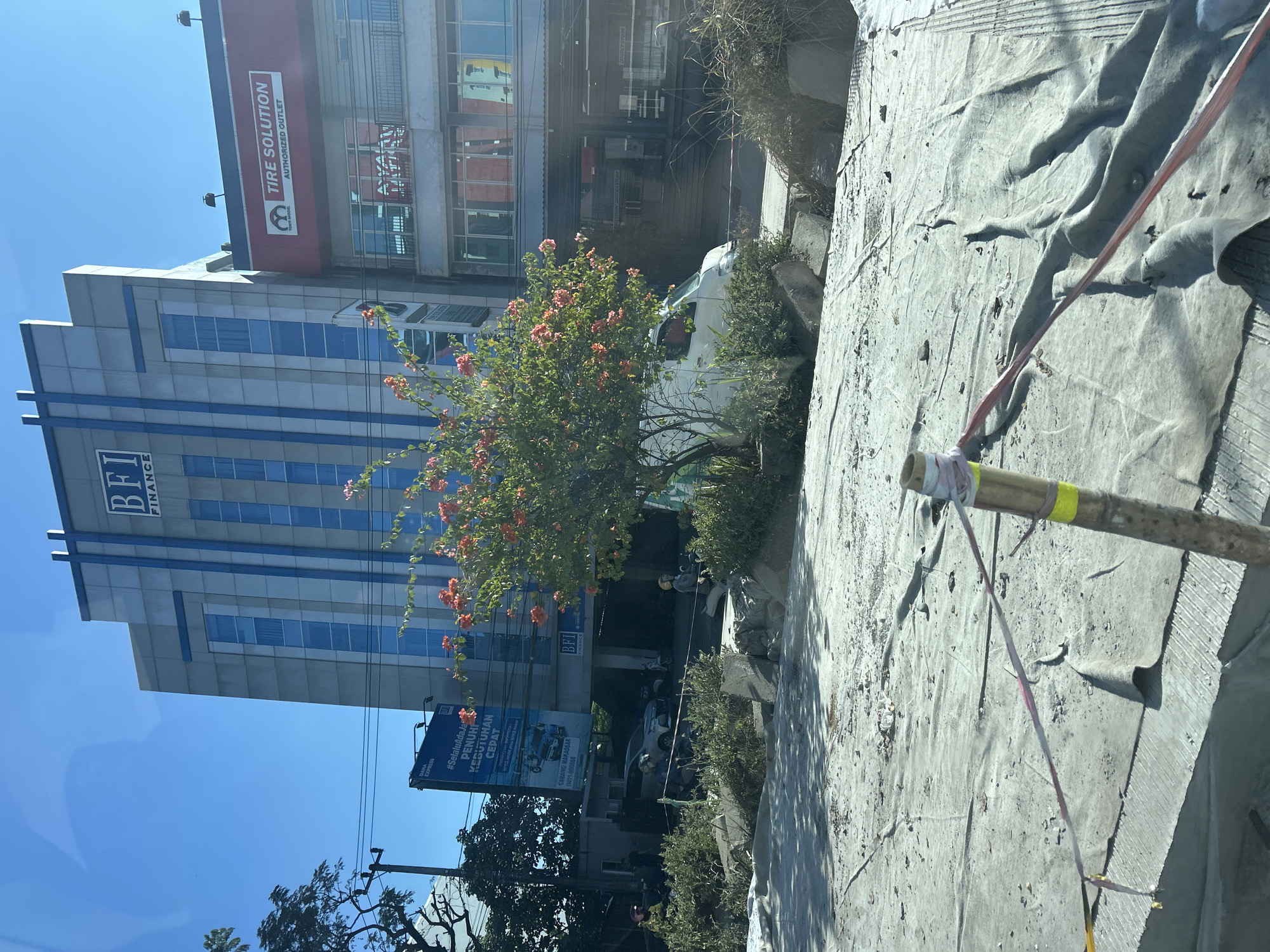 In Makassar, Indonesia, a street scene unfolds with a partially covered construction area in the foreground. A light-colored tarp, possibly for protection, is laid over rough ground, marked with a bamboo stake and red and white tape acting as a barrier. Beyond this, a vibrant tree with orange flowers blooms, its branches reaching towards a modern building. The building features a prominent "BFI FINANCE" sign, with a blue accent stripe running vertically. Adjacent to it, a "TIRE SOLUTION AUTHORIZED OUTLET" sign is visible on a red facade. A white van is parked near the building, partially obscured by foliage. Several individuals, some on motorcycles and others standing, are present in the background, suggesting an active urban environment despite the construction. The sky is clear and blue, indicating a sunny day.