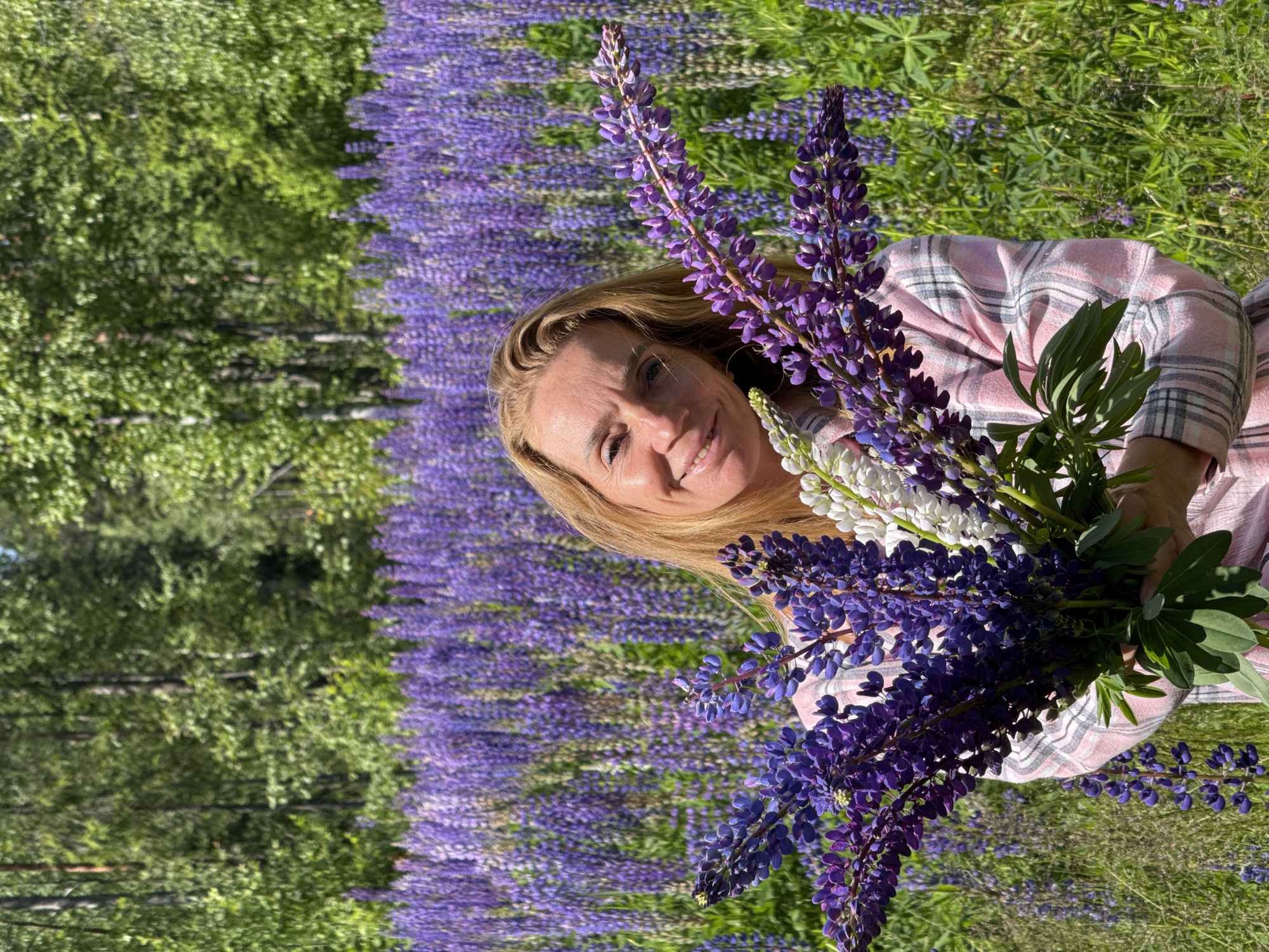 A blonde woman with light skin and light brown hair smiles at the camera while holding a bouquet of purple and white lupine flowers. She is wearing a pink and white plaid shirt. Behind her, a field of purple lupine flowers stretches into the background, with a forest of green trees and foliage visible beyond the flowers. The scene appears to be outdoors on a sunny day. The location is Unknown, Russia.
