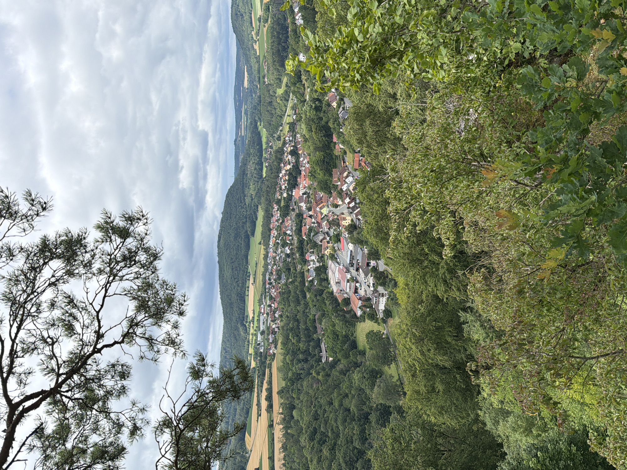 The image is a high-angle, full shot of a village nestled in a valley, taken from a wooded hillside. In the foreground, branches of a pine tree with needles frame the top left of the image, and lush green foliage of deciduous trees fills the bottom and right portions. The midground reveals a dense forest descending into the valley. Beyond the forest, the village of Heiligenstadt i. OFR., Germany, is visible, characterized by buildings with red-tiled roofs and some larger structures with white facades. A church spire is prominent within the village. The village is surrounded by rolling hills covered in forests and agricultural fields, with a road winding through the landscape. The sky is overcast with a mix of gray and white clouds. No people are visible in the scene.