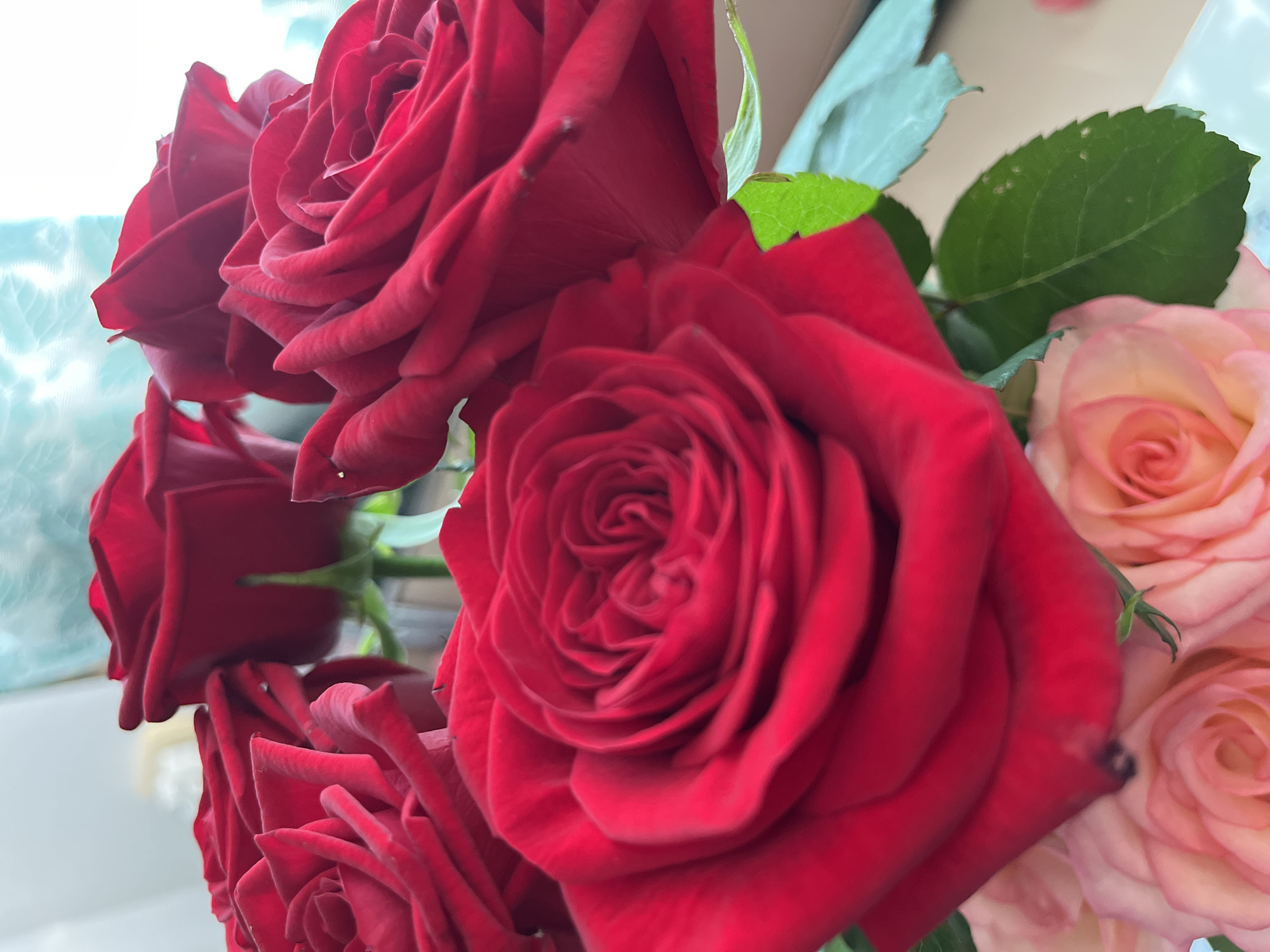 This is a close-up, vertical, eye-level, outdoor, natural light photograph of a bouquet of roses. The roses are a deep red color, and the petals are tightly furled in the center, gradually opening outwards. Several red roses are visible, with some in sharp focus in the foreground and others slightly blurred in the background. There are also some lighter-colored roses, possibly peach or light pink, at the bottom of the frame, also out of focus. Green leaves and stems are interspersed among the flowers. The background is out of focus and appears to be a blurred interior setting with a pale blue patterned surface. There is no discernible location in the city of Samara, Russia, that can be identified from this image. There are no people or any actions or interactions depicted.