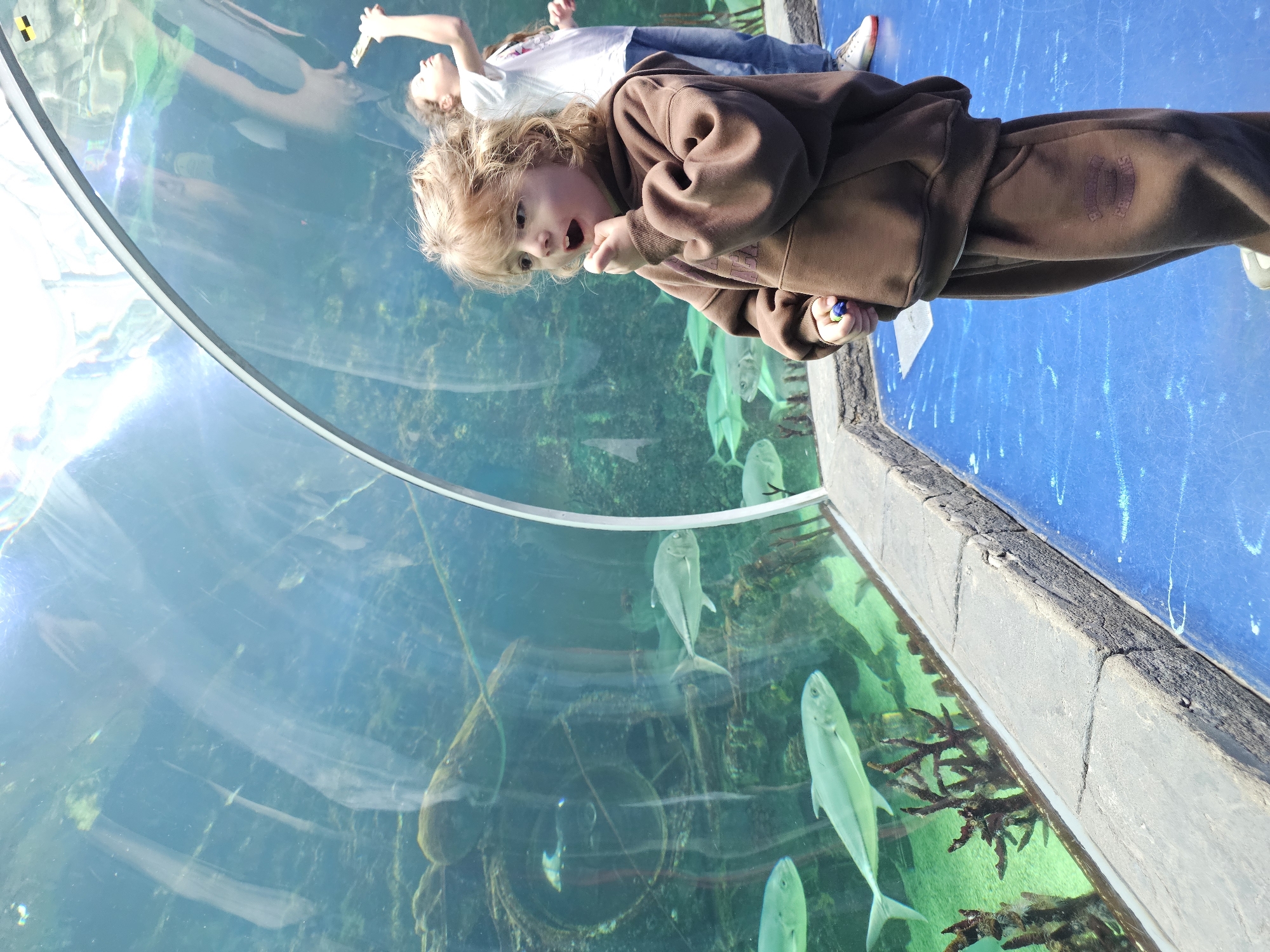 Two young children are looking into a large aquarium. The child closest to the camera is wearing a brown hooded sweatshirt and sweatpants, holding a small blue and green object in their right hand, and has a surprised expression. The second child, further away, is wearing a white shirt and jeans. The aquarium contains multiple silver-colored fish, what appear to be coral or other underwater vegetation, and some sort of dark, rounded objects, possibly parts of a shipwreck or other structure. The floor around the aquarium is blue. The location is Unknown, Unknown.