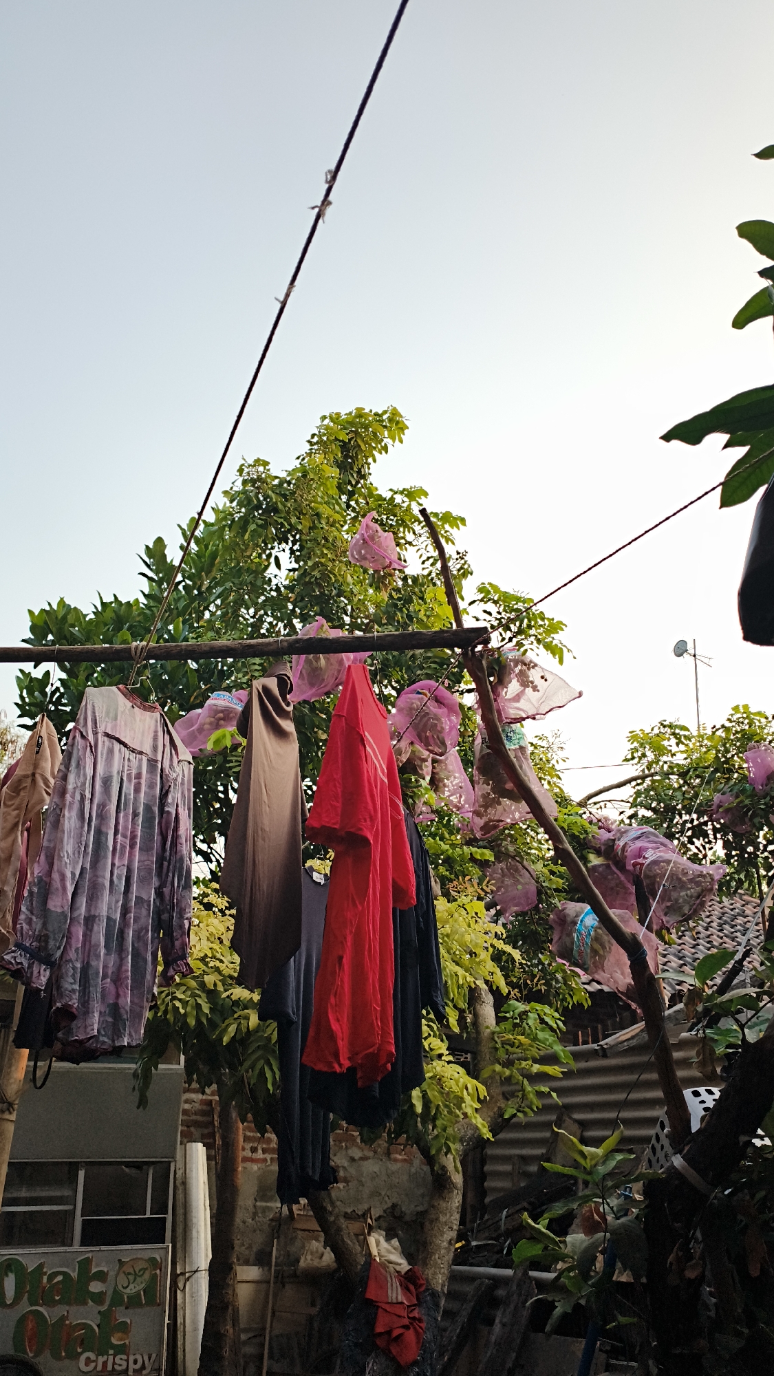 In Kerep Kidul, Indonesia, an outdoor scene is captured with clothing drying on a clothesline. The clothesline is suspended between two makeshift poles, one made of wood and the other a metal cable supported by a wooden beam. Several garments are hanging: a long-sleeved dress with a floral pattern in shades of purple and gray, a dark brown draped top, and a bright red t-shirt. Additional dark-colored clothing is also visible. Scattered among the hanging clothes are pink net bags, some containing small, unidentifiable items, possibly fruit. A lush green tree with yellowing leaves serves as a backdrop, its branches intertwining with the clothesline. In the lower left of the frame, a portion of a building with a visible window and a sign that reads "Otak Otak Crispy" is present. The sky above is clear and pale blue, suggesting it is daytime. The overall impression is of a domestic setting, likely a backyard or common area, where laundry is being air-dried amidst natural surroundings and urban elements.