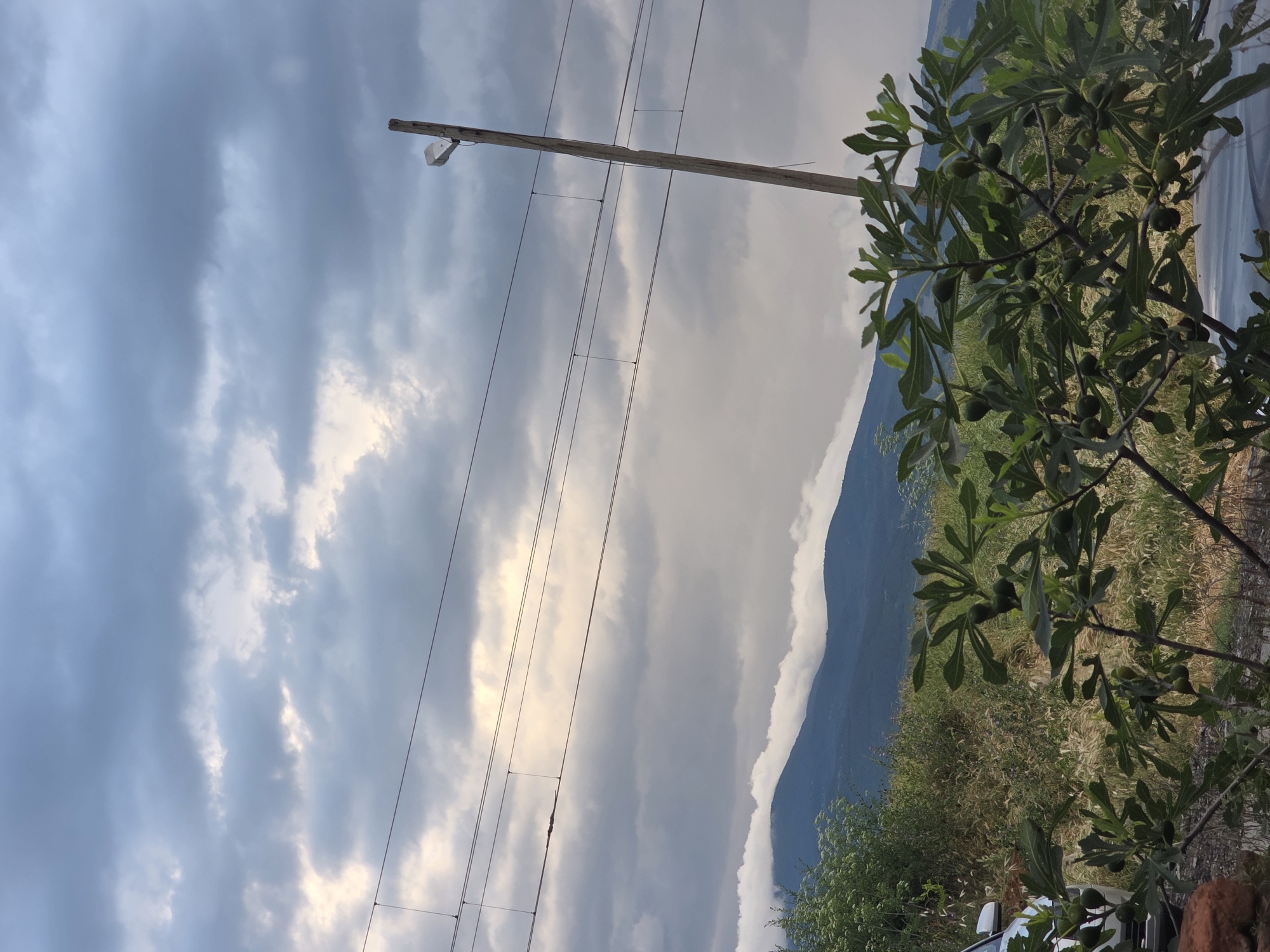 The image captures a serene rural landscape, viewed as if looking across a valley or open field towards mountains under an overcast sky. The sky dominates the upper portion, filled with a dynamic mix of dark and light gray clouds, through which soft, bright light penetrates, suggesting either early morning or late afternoon.
A sturdy wooden utility pole, equipped with multiple power lines, stretches horizontally across the middle of the frame. A small, light-colored fixture, possibly a lamp or piece of equipment, is attached near the pole's top.
In the foreground and midground on the right, a vibrant fig tree stands out with its large, lobed green leaves and several small, unripe green figs. Below and around the tree, the ground is covered in a dense mix of green and drier, straw-colored vegetation, including various bushes and grasses. A small section of a white vehicle, likely a car, is partially visible in the lower right corner, partially obscured by the foliage. A white tarp or cover is also faintly visible on the far right.
The background features majestic, dark blue-green mountains or large hills. Their upper slopes and peaks are partially veiled by a layer of light clouds or mist, adding depth and atmosphere to the scene.
The overall impression is one of a quiet, natural environment, possibly anticipating rain or experiencing a moment of calm between weather events. The scene is devoid of people and any discernible text. Given the context, this tranquil setting is located in Kalitinovo, Bulgaria.