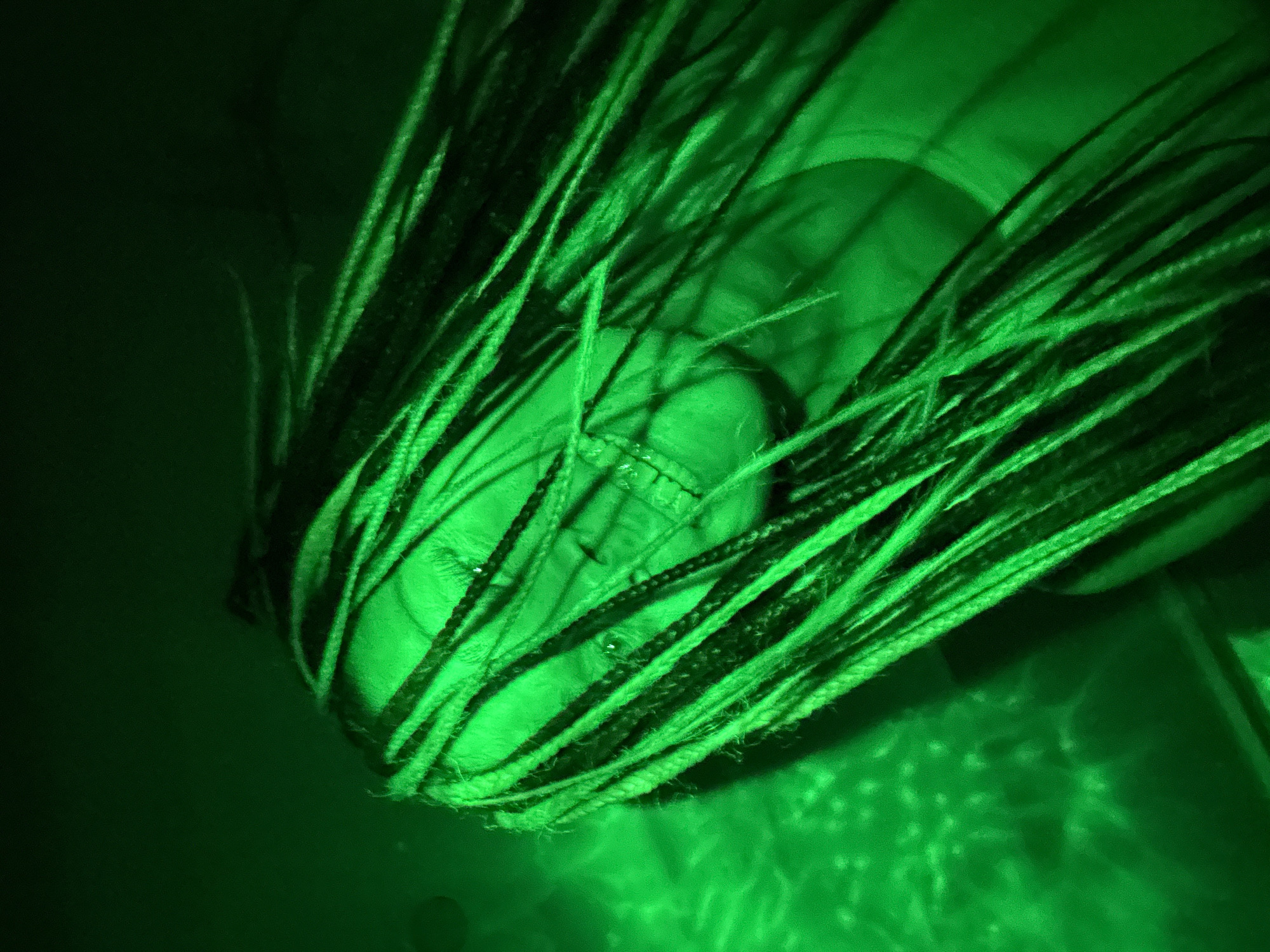 The media file presents a close-up, tilted view of a person's head, submerged in an intense, monochromatic green light. The subject's face is partially visible, with eyes appearing closed, suggesting a state of rest or tranquility. Numerous long, thin braids or dreadlocks cascade over and around the head, their fibrous texture distinctly highlighted by the strong illumination. The green light casts deep shadows, enhancing the dimensionality of the hair and facial features.
The background is dark and largely indistinguishable, drawing focus to the brightly lit subject. The entire scene is bathed in a uniform, vibrant green hue, likely from an artificial light source or a strong filter, creating an atmospheric, almost surreal aesthetic. No specific activity is depicted other than the person seemingly resting or posing. There are no discernible objects besides the individual and their elaborate hairstyle. No text is visible within the image. The setting for this image is Rusanovo, Russia.