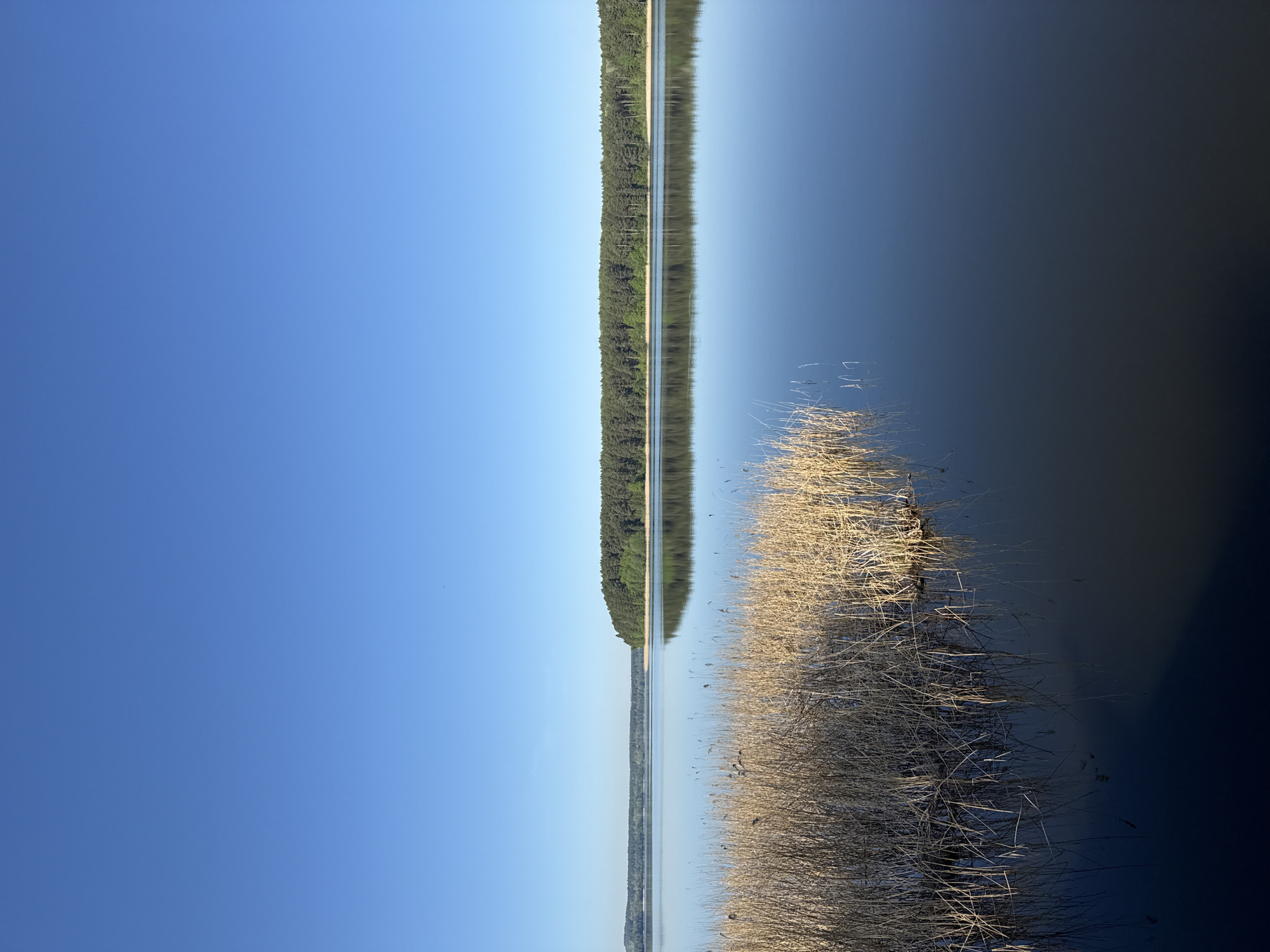 A photograph shows a landscape scene, most likely a lake. The image is vertically oriented. A clear blue sky takes up a significant portion of the left side. A body of water, possibly a lake, stretches horizontally across the center. A line of trees runs along the far side of the water, reflecting in the water's surface. In the foreground, along the right side, is a mass of reeds or tall grass. The water transitions from lighter blue tones on the left to darker shades on the right, suggesting shadow.
Given the location "Votkinsk, Russia," the body of water is likely the Votkinsk Reservoir. There are no people, distinct subjects, actions, or interactions visible in the image.