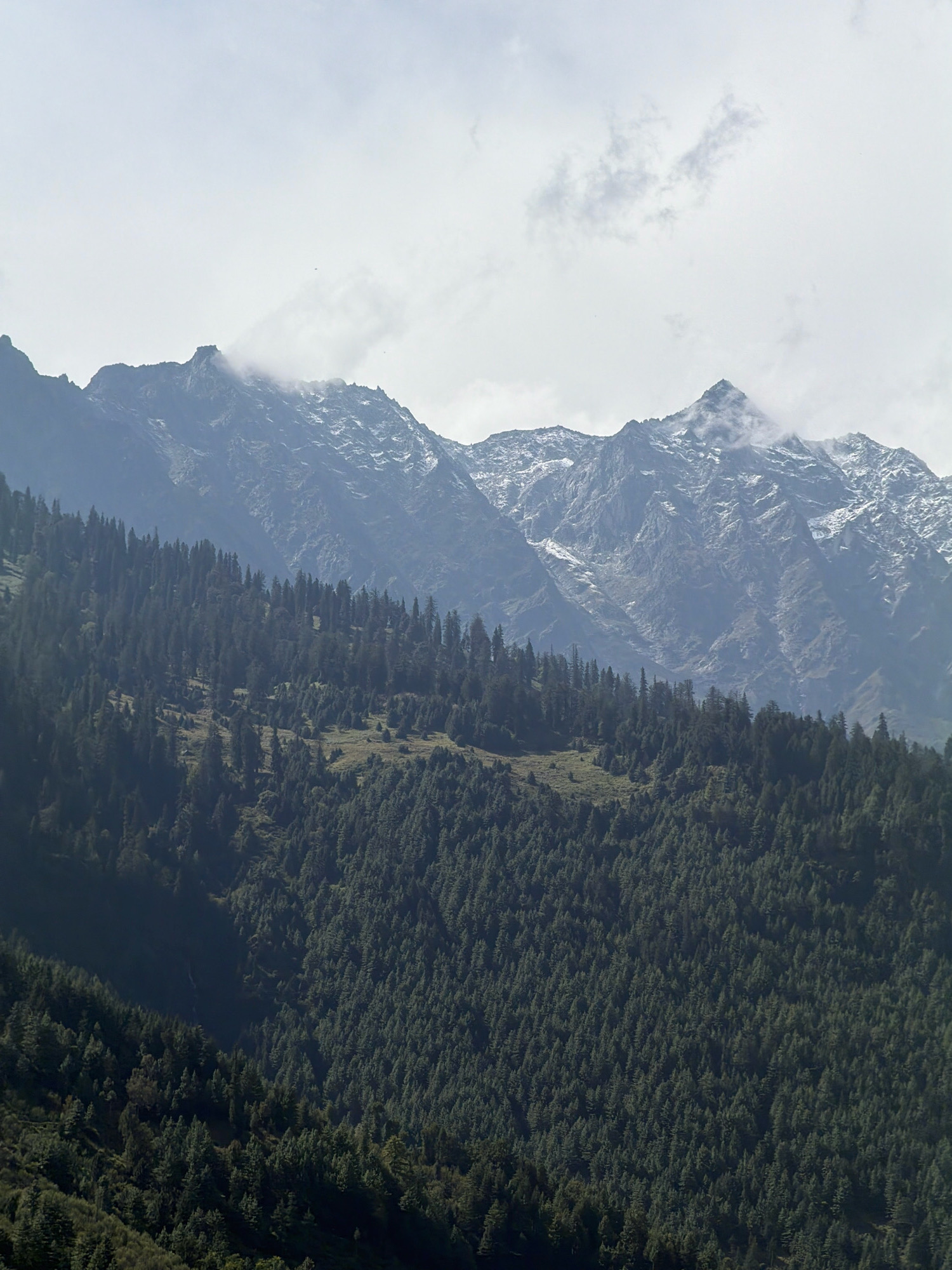 This image captures a panoramic view of a mountain landscape near Vashisht, India. The scene is dominated by lush, dark green coniferous trees that blanket the lower slopes of the mountains. Above the tree line, the rugged, rocky peaks of the mountains rise sharply, some with visible patches of snow, suggesting a high altitude. The sky is overcast with a hazy, diffused light, with some wisps of clouds clinging to the mountain summits. The overall impression is one of natural grandeur and serene isolation. There are no people or man-made structures visible in the frame.