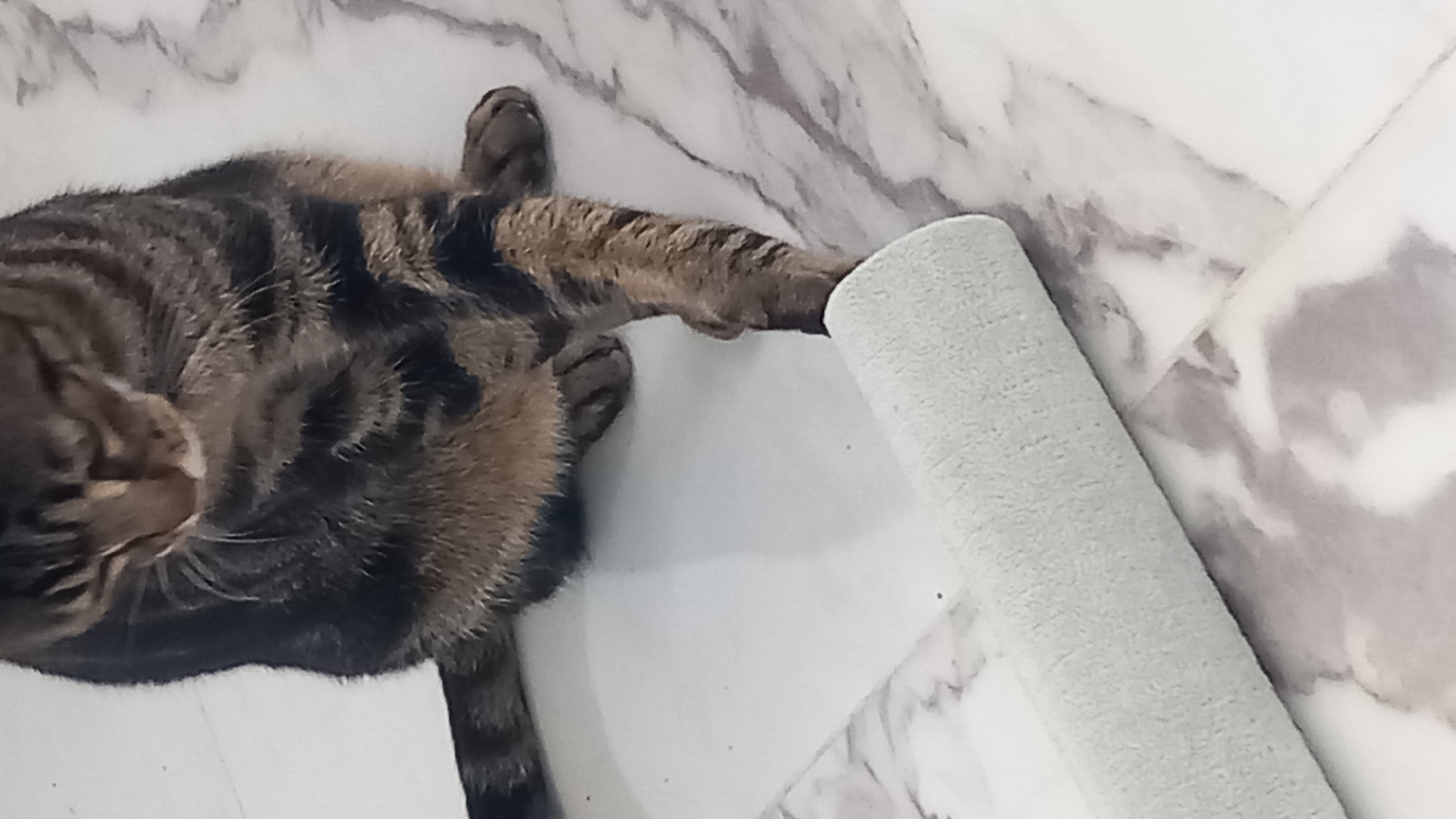 The image shows a close-up, overhead view of a tabby cat sitting on a light-colored, marbled floor. The cat is looking down towards a rolled-up light blue towel or mat positioned in front of it. The cat's front right paw is extended towards the towel. The background is a white and gray marbled pattern, typical of flooring or countertops. The scene appears to be indoors, likely in a residential setting. There is no specific information about the location in Άγιος Νεκτάριος, Greece.
