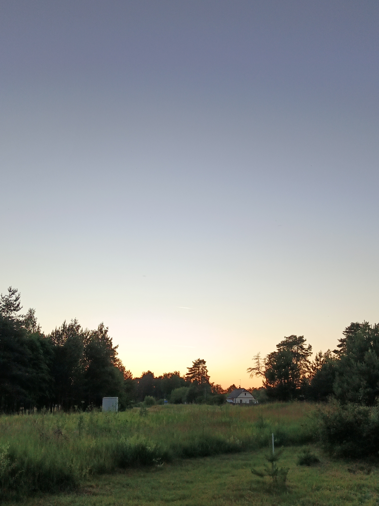 The image depicts a tranquil rural landscape at dusk, likely in the vicinity of Парэчча, Belarus. The sky transitions from a pale blue at the zenith to a warm orange and yellow gradient near the horizon, indicating either sunrise or sunset. A band of silhouetted trees forms a natural border across the middle ground, with some taller conifers and deciduous trees visible.
In the left mid-ground, a light-colored, rectangular structure, possibly a utility shed or small outbuilding, stands amidst tall green grass and wildflowers. Further to the right, a small house with a light-colored roof and walls is nestled among the trees. The foreground consists of a field of lush green grass, with some dry stalks and weeds interspersed. A few small evergreen saplings are sparsely planted in the field. A faint contrail from an aircraft is visible in the upper right portion of the sky, and several very small, dark specks, possibly insects or distant birds, are scattered throughout the sky. The overall impression is one of quiet, natural beauty.