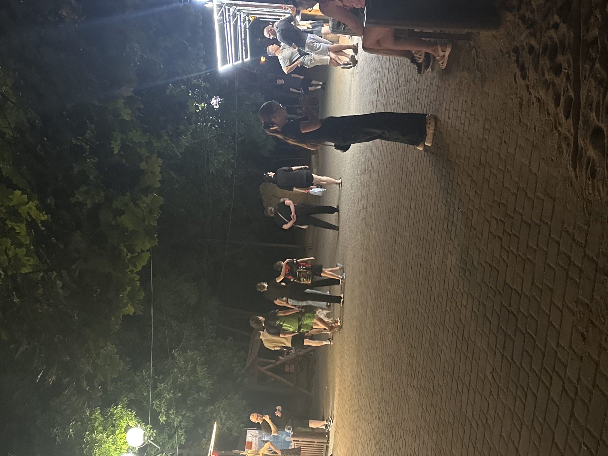 The image depicts an outdoor scene at night, possibly in Odesa, Ukraine, featuring a paved area with cobblestones and a sandy section to the right. Several people are present, most of whom are standing or walking. In the foreground, a woman with her hair in a ponytail is wearing a black outfit and appears to be looking at her phone. To her right, two individuals, a man and a woman, are seated, with the woman wearing a pink top.
Further into the scene, a group of people are walking on the paved area. One man, on the far left, is wearing a black t-shirt and shorts and appears to be holding a drink. Behind him, a wooden structure that resembles a playground swing set is visible. A group of individuals in casual attire are walking towards the right side of the image. One person is wearing a green t-shirt with a graphic design, and another is wearing a black t-shirt. A small dog is visible walking among the people.
In the background, trees with green foliage are illuminated by artificial lighting, creating a dimly lit atmosphere. Overhead, string lights are visible, and a white light fixture is mounted on a pole to the left. A structure with a brightly lit white roof, possibly a food stand or kiosk, is located on the far right side of the image. The overall impression is of a relaxed evening gathering in an outdoor recreational area.