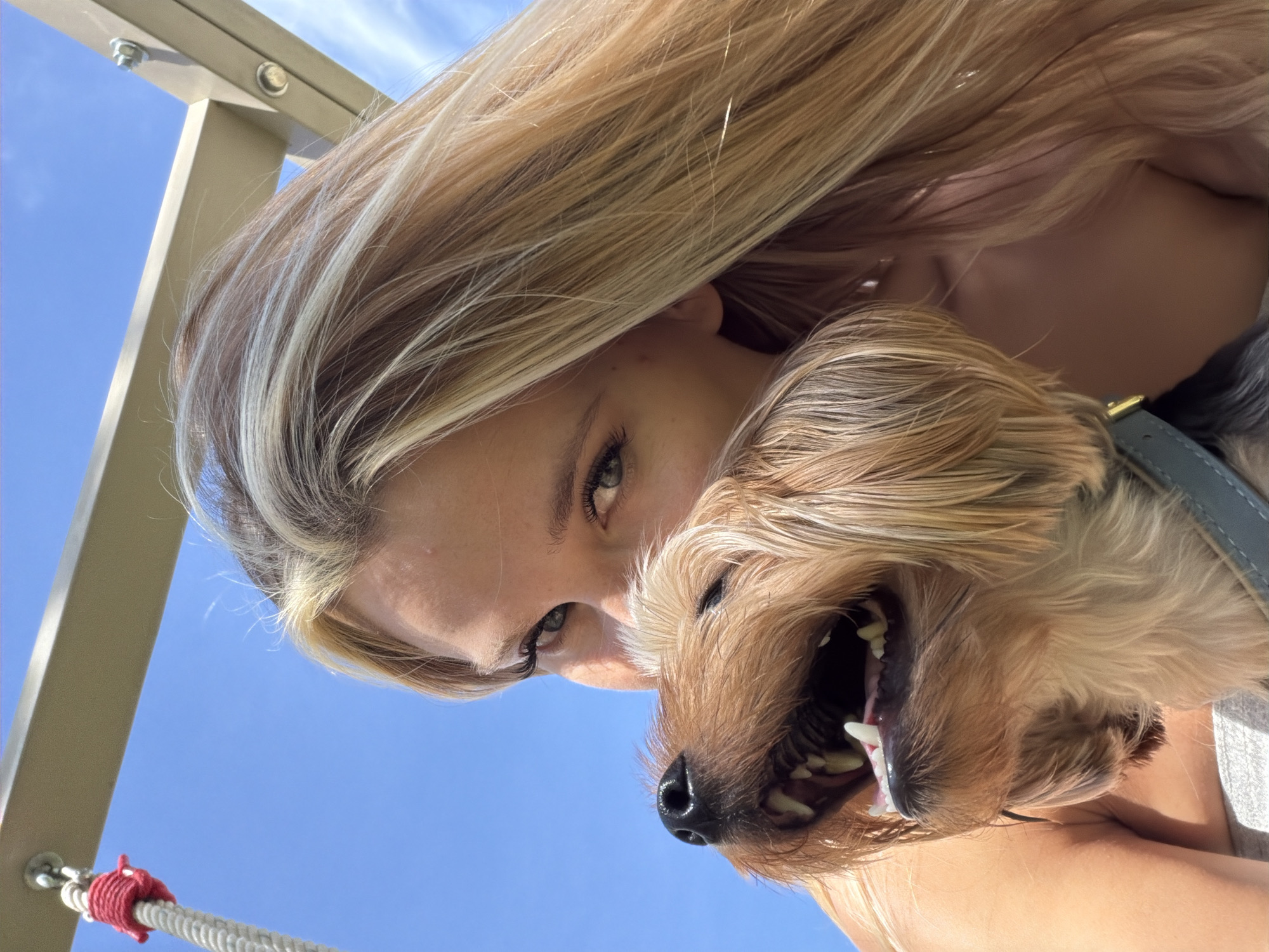 A young Caucasian woman with blonde hair and blue eyes is partially obscured by a small, light brown dog. The dog is in the foreground, with its mouth open, revealing its teeth and tongue. The woman's right eye is visible, looking towards the camera. Both subjects are outdoors, under a clear blue sky. A metal structure, possibly part of a swing set, is visible in the upper portion of the image. The scene appears to be a recreational area.