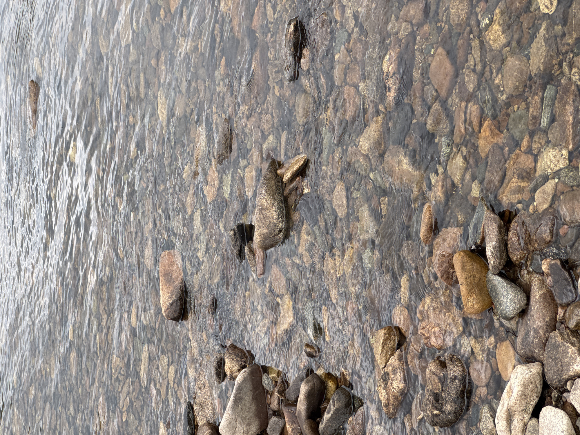 The image shows a close-up view of shallow, clear water flowing over a rocky riverbed. The rocks are of various sizes, shapes, and colors, predominantly brown, gray, and tan, with some reddish hues. The water is slightly rippled, creating reflections and distortions on the submerged stones. In the foreground, a cluster of larger, more angular rocks are visible at the edge of the water. The overall impression is one of a natural, untouched environment. The location is the Murtygit River in Murtygit, Russia. There are no people or animals present in the image.