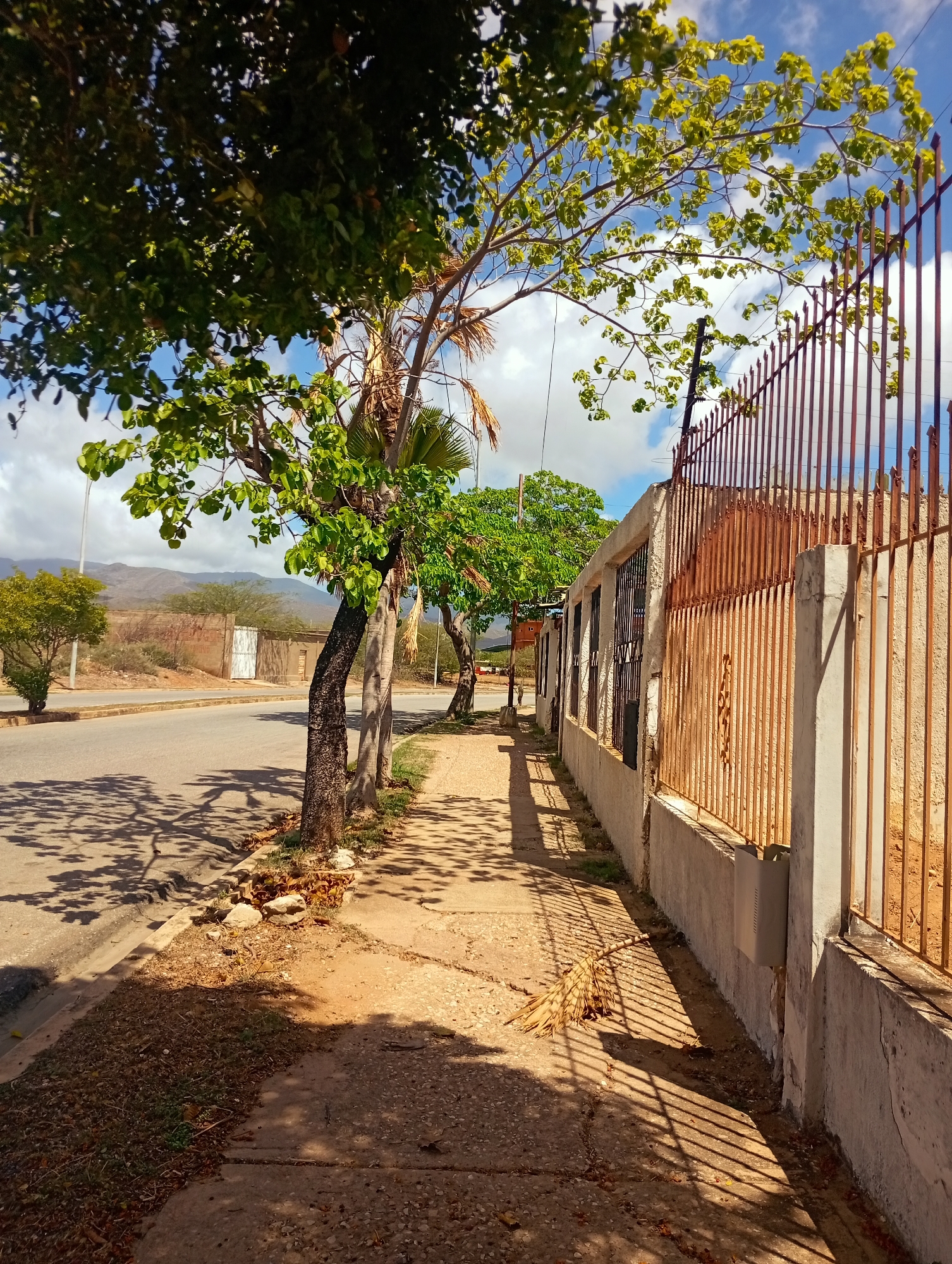 The image depicts a street scene in Juan Griego, Venezuela, characterized by a paved road on the left and a sidewalk on the right, bordered by a concrete wall and a rusted metal fence. Trees with green foliage are present along the sidewalk, casting shadows on the pavement. The sky is blue with scattered white clouds. In the background, mountains are visible. The environment appears arid, with dry vegetation and sparse greenery. No people or animals are visible in the frame. The overall impression is one of a quiet, possibly residential or commercial street in a warm climate.
