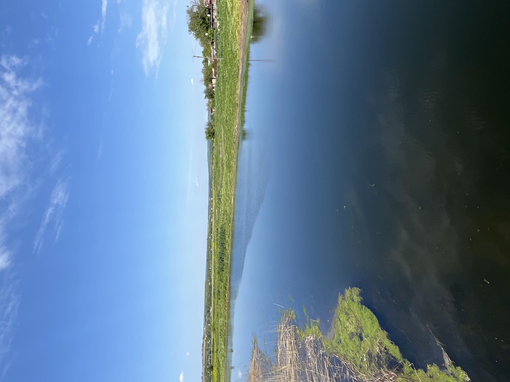 The image shows a body of water, possibly a lake or wide river, in Inhulets, Ukraine. The water is dark and reflects the sky and the opposite bank. On the right side of the image, there are reeds and algae in the water. On the opposite bank, there's a strip of green land with grass and trees, suggesting a shoreline. Buildings are visible further inland. The sky is blue with scattered clouds.