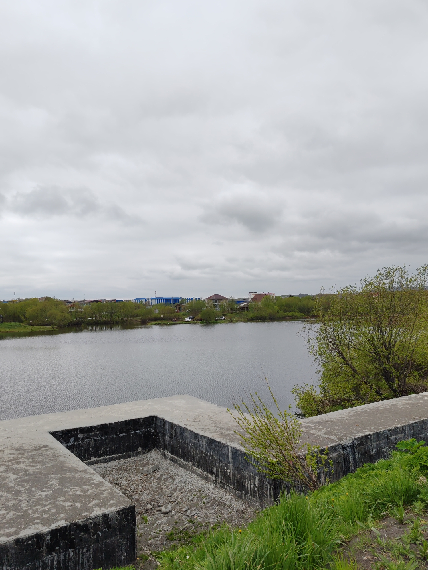 The image depicts a gray, overcast day with a large body of water in the middle ground. In the foreground, there is a concrete structure with a rough, unfinished interior, partially overgrown with green grass and small bushes. The water is calm and reflects the overcast sky. Across the water, on the far bank, there is a line of trees and buildings, including houses and what appears to be a blue industrial building. The scene is a landscape view, likely a waterfront area within the city of Petropavlovsk-Kamchatsky, Russia, possibly near a reservoir or bay.