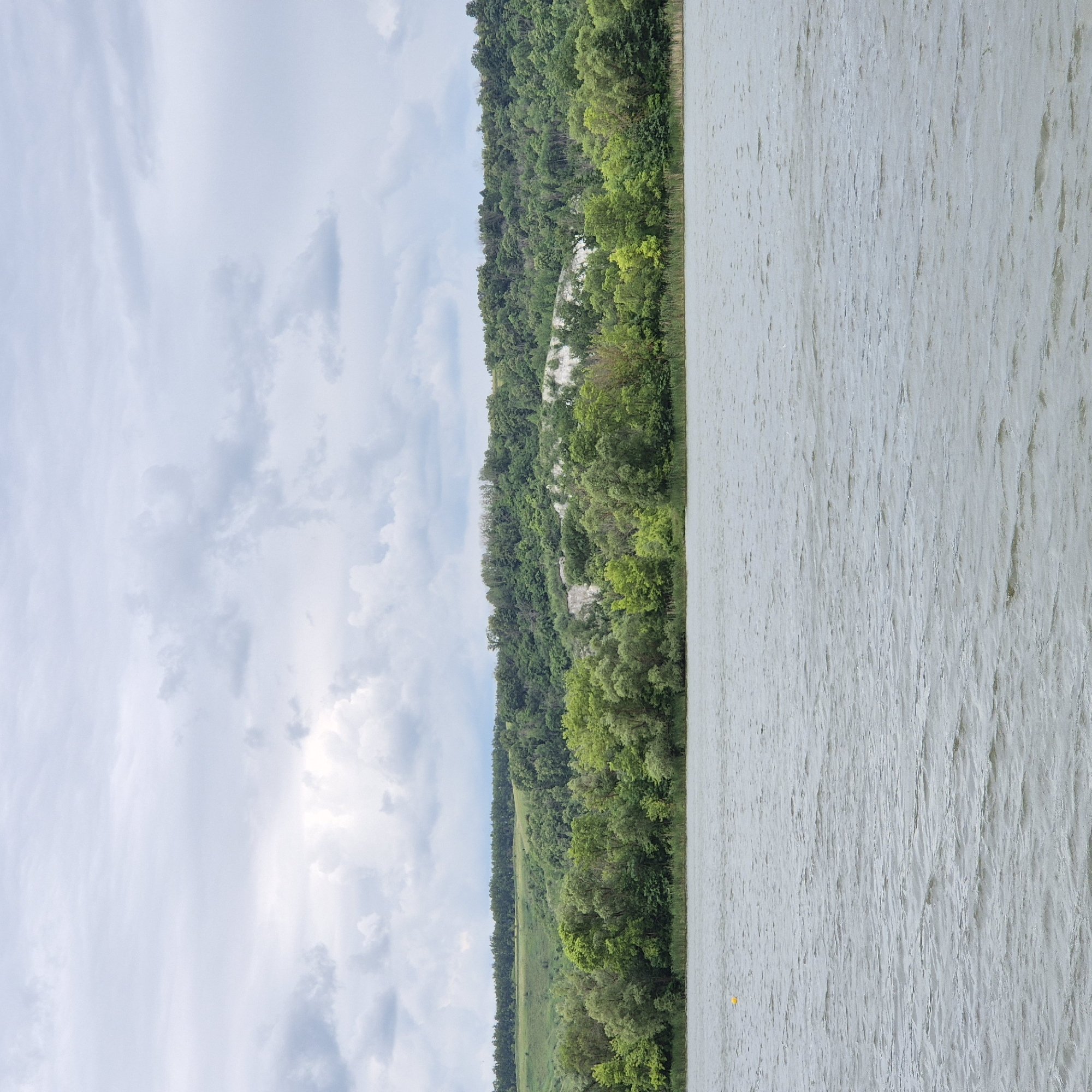 The image depicts a landscape view of a wide river with a tree-covered hillside in the background under a cloudy sky. The river occupies the lower half of the frame, with visible ripples on its surface, suggesting a slight breeze. A single yellow buoy is present in the water in the lower left quadrant. The far bank of the river is lined with a dense growth of green trees, interspersed with some lighter patches that appear to be exposed rock or chalk cliffs. Behind the trees, the hillside rises and is also covered in vegetation, with a lighter strip of exposed land visible further up. The sky is overcast with large, grey clouds, creating a muted light. There are no people or man-made structures visible in the scene. The location is identified as a riverbank near the city of Liski, Russia.