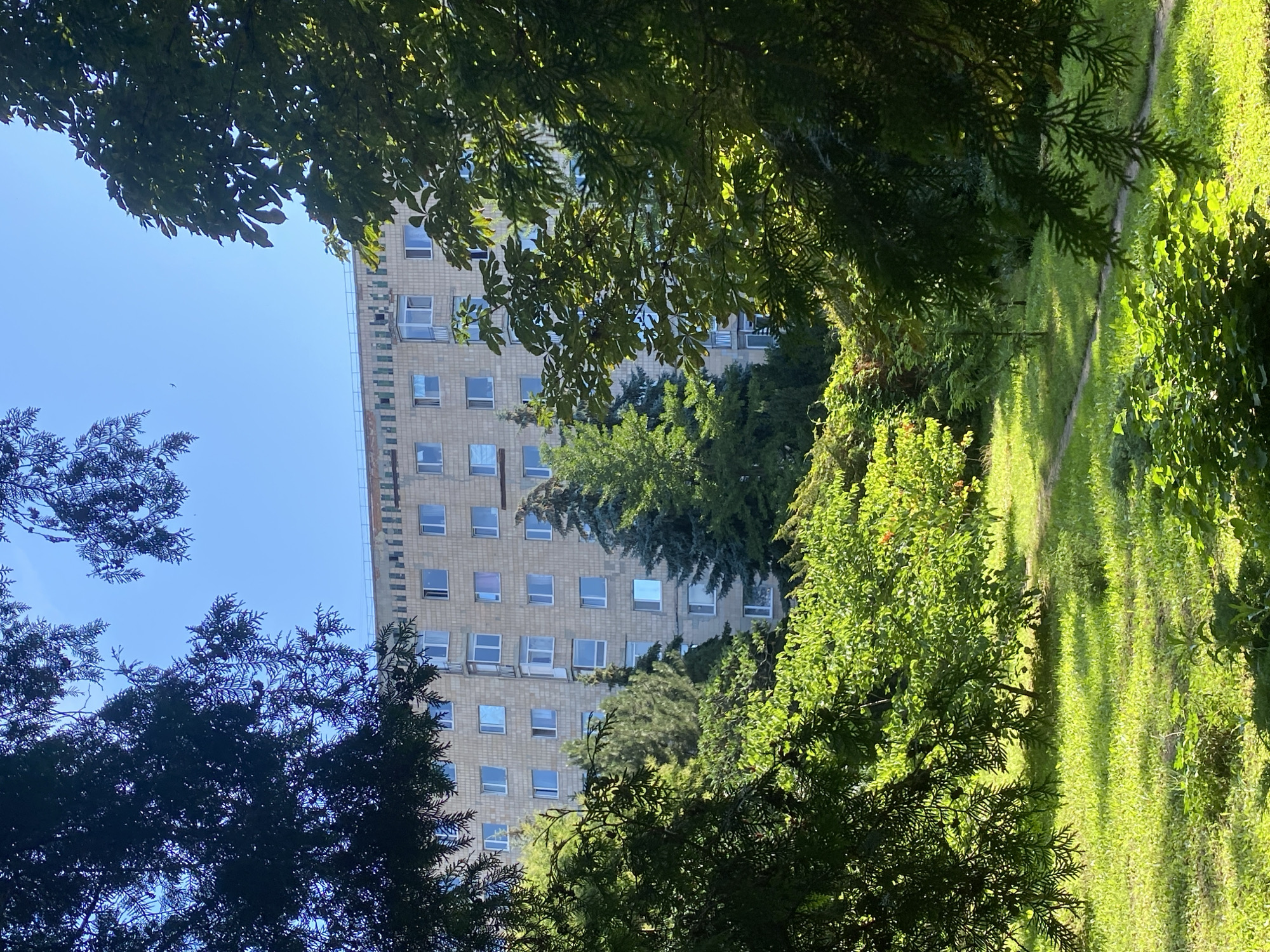A mid-rise apartment building, likely a dormitory or public housing complex, is visible through a frame of lush green trees and foliage in Poltava, Ukraine. The building, constructed of light-colored bricks, features numerous windows, many of which are uniformly rectangular. Some windows have white frames, while others appear to have darker frames, and a few have enclosed balconies. The top of the building has a decorative cornice. In the foreground, a manicured lawn is illuminated by sunlight, with a winding pathway cutting through it. The trees are dense and varied, with some coniferous and others deciduous, suggesting a park-like or well-landscaped urban setting. The sky is a clear, bright blue with a single bird visible in flight. The overall impression is one of a peaceful, natural setting juxtaposed with urban architecture.
