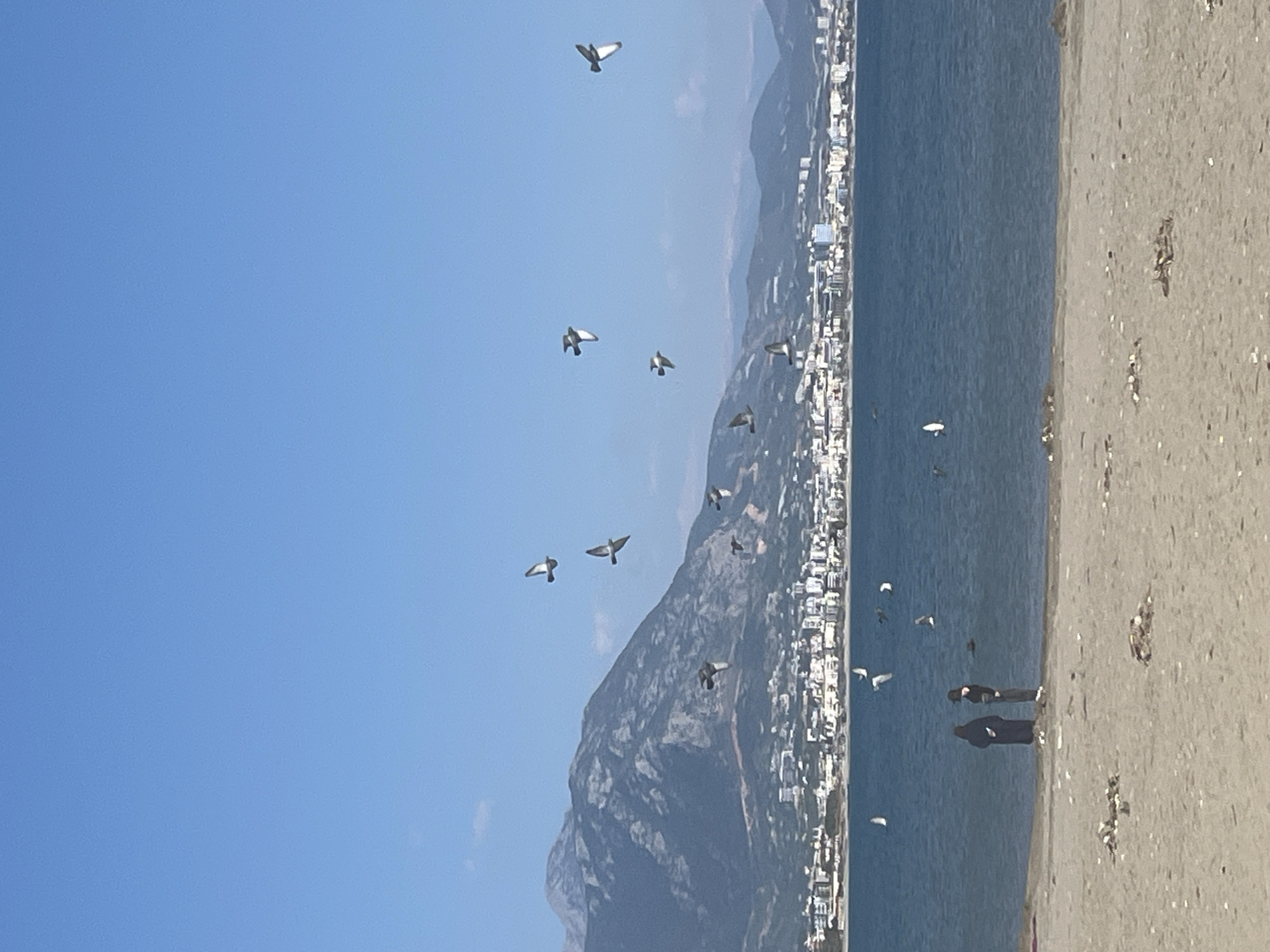 A bright, sunny coastal landscape in Alanya, Turkey, is depicted under a clear blue sky. In the background, dark, rugged mountains rise, their lower slopes covered by a dense urban sprawl of white buildings that stretch along the coastline. A calm, deep blue sea separates the city from a wide, light-brown sandy beach in the foreground.
Numerous pigeons are a prominent feature of the scene. Many birds are captured mid-flight against the clear sky, above the mountains and city. More pigeons are visible scattered on the sandy beach and wading in the shallow water near the shore. Two individuals, dressed in dark clothing, stand on the beach close to the water's edge, one appearing to wear a headscarf. They are standing still, possibly observing the surroundings or the birds.
The time of day is bright daylight, indicated by the clear sky and absence of harsh shadows. The weather appears sunny and pleasant. No text is visible in the image.