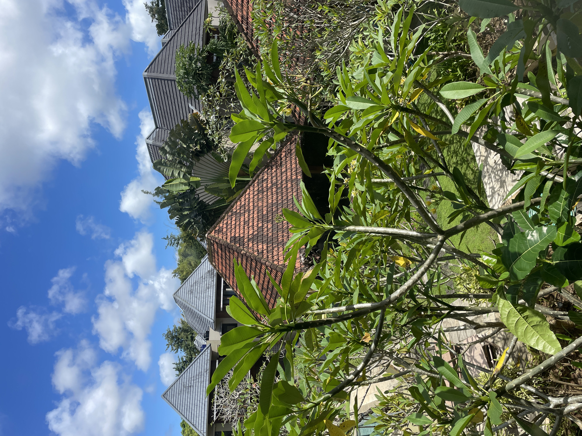 An upward shot shows several building roofs against a blue sky dotted with cumulus clouds. The roofs include grey, triangular structures and a rust-colored tile roof. Green foliage, including a tree with large, oblong leaves in the foreground, fills part of the frame. The location is Kuta Selatan, Indonesia.