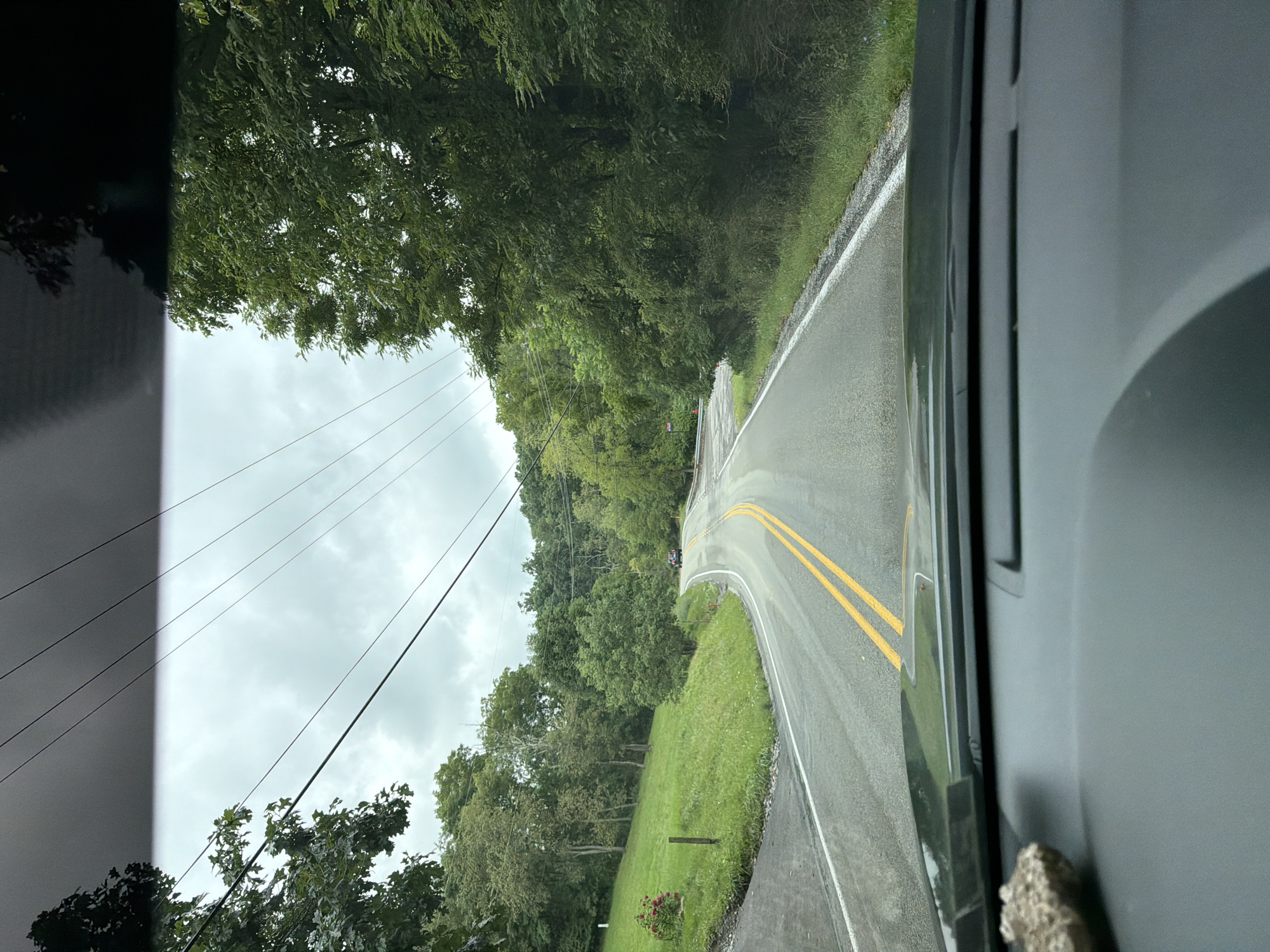 A first-person perspective shot shows a car driving down a two-lane asphalt road. The road has a double yellow line down the center and white lines on the edges. The road curves to the right as it goes uphill. On the left side of the road, there is a grassy hill with some trees and a small cluster of red roses. On the right side of the road, there is a dense forest. Above the trees, power lines stretch across the cloudy sky. In the distance, a dark-colored SUV is visible on the road. The shot is taken from inside the car, with the dashboard visible in the foreground.