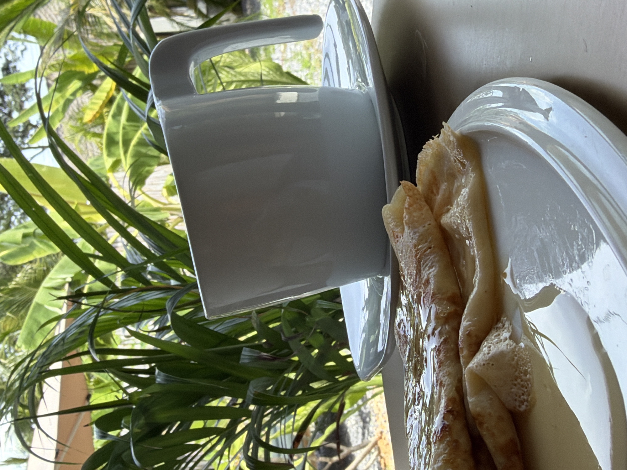 The image shows a close-up of a white teacup and saucer next to a plate of crepes. The teacup is tilted, with its handle facing upwards and to the left. The saucer is beneath the teacup, and a portion of it is visible to the right. The crepes are folded and appear to be drizzled with syrup or honey. They are arranged on a white plate.
In the background, lush green foliage is visible, suggesting an outdoor or tropical setting. The leaves are long and somewhat feathery, characteristic of palm fronds or similar tropical plants. Sunlight filters through the leaves, creating dappled lighting. A light-colored wall or surface is also visible in the background.
The scene appears to be a breakfast or brunch setting, with the teacup and crepes indicating a meal. The presence of tropical foliage suggests a location in a warm climate. Given the provided location context of Baan Bo Phut, Thailand, this scene likely depicts a breakfast enjoyed on a balcony, patio, or near a window overlooking a garden or natural landscape in Thailand. The lighting suggests it is daytime, possibly morning or afternoon. No people are visible in the frame. There is no visible text in the image.