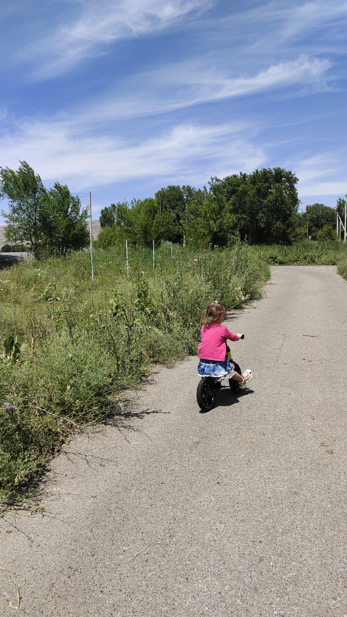 In the city of Unknown, Unknown, a young girl is riding a black balance bike on an asphalt road. She is wearing a pink long-sleeved shirt and a blue denim skirt. The girl is facing away from the camera, her hands on the handlebars. The road is bordered by overgrown green vegetation on the left and trees on the right. A bright blue sky with wispy white clouds is visible above. The scene appears to be a rural or semi-rural area.