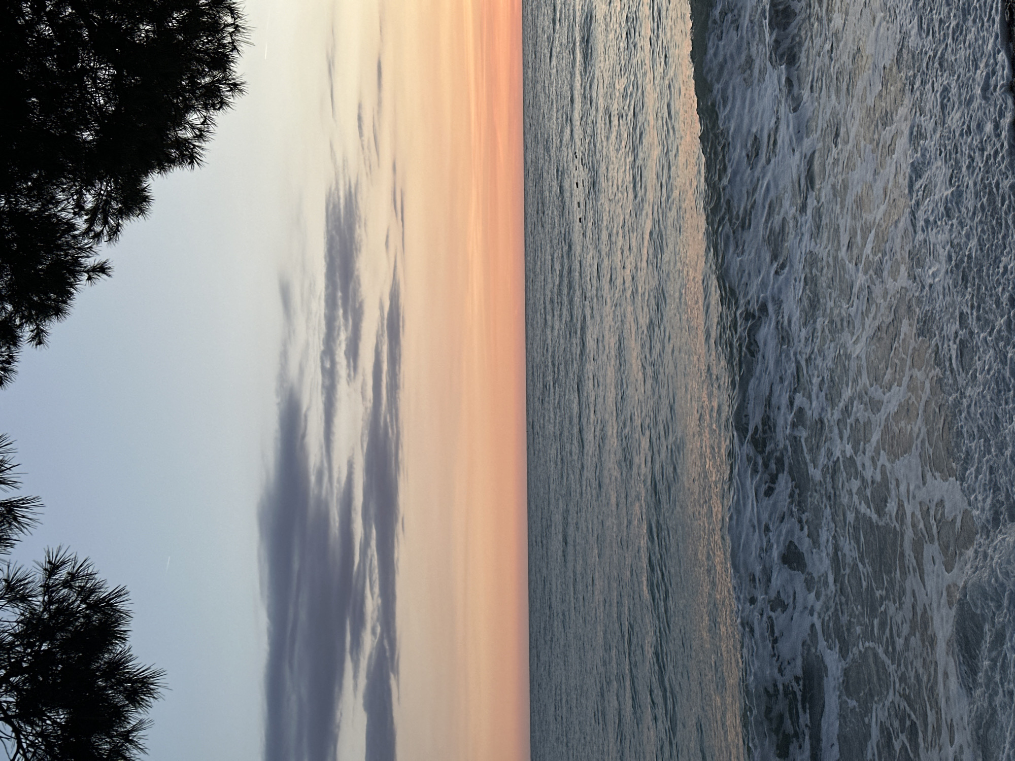 The image depicts an ocean view at Šušanj, Montenegro. On the left, the silhouette of a tree is visible against a sky with some clouds and an orange hue. The right side of the image shows the ocean, with waves and white foam. The image appears to have been rotated counter-clockwise 90 degrees.