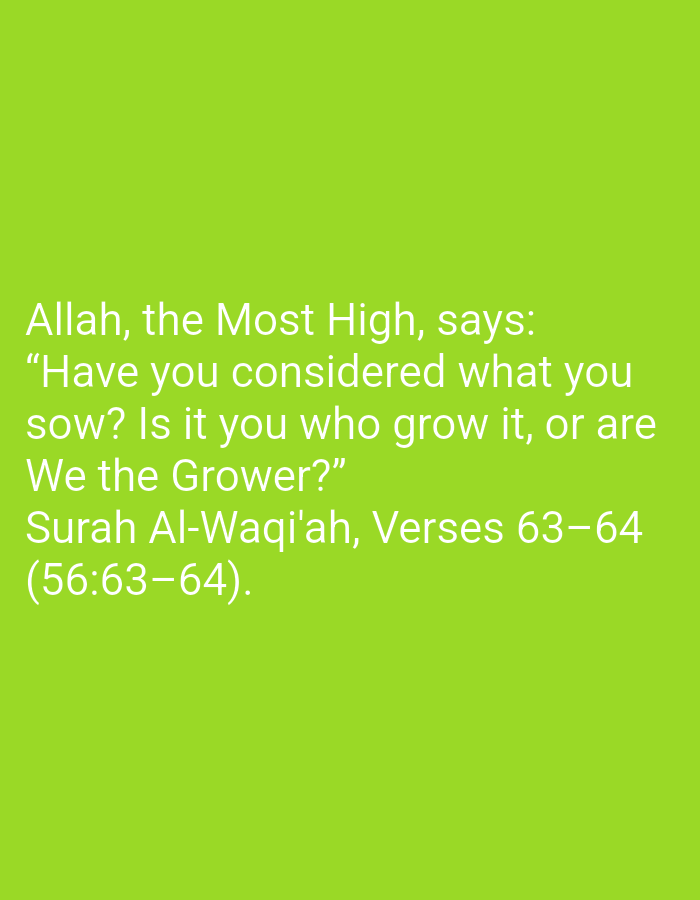 A photograph displays white text on a vibrant lime green background. The text is an excerpt from the Quran, specifically Surah Al-Waqi'ah, Verses 63-64, attributed to "Allah, the Most High." The excerpt reads: "Have you considered what you sow? Is it you who grow it, or are We the Grower?" The location in Bishkek City, Kyrgyzstan is not discernible from the image.