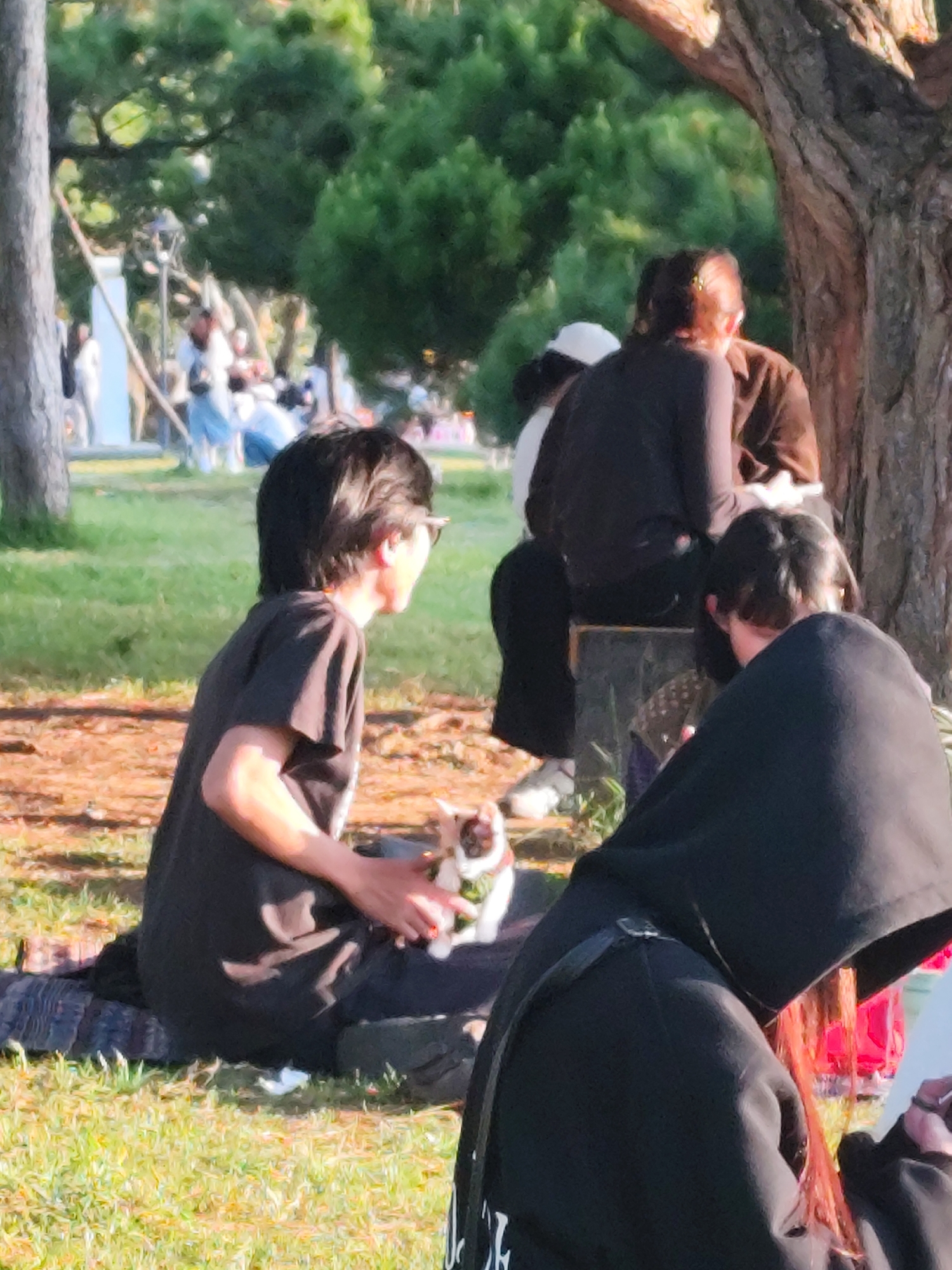 The image shows a group of people gathered in a park, likely in Da Lat, Vietnam, as suggested by the lush greenery and dappled sunlight. In the foreground, a person with dark hair and glasses is sitting on a patterned blanket on the grass, holding a small white and brown animal, possibly a cat, in their hands. To their right, another person wearing a black hooded jacket is partially visible, facing away from the camera. In the background, several other individuals are seated or standing, some near a large tree. The atmosphere appears relaxed, with people enjoying the outdoor setting. The park setting includes grass, trees, and sunlight filtering through the foliage, creating a warm, inviting scene.