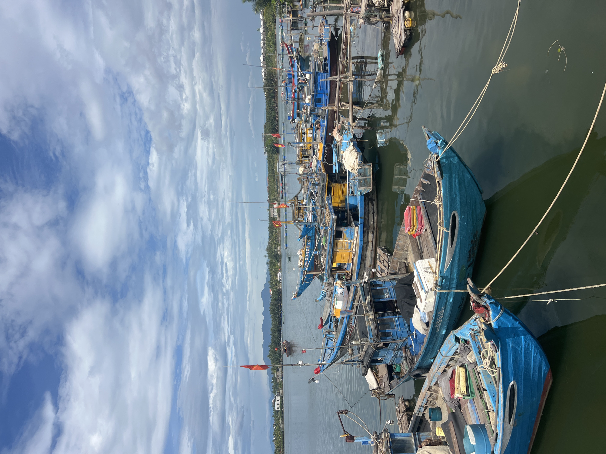 A wide shot captures a harbor in Hoi An, Vietnam, filled with numerous blue and yellow fishing boats docked together. The sky above is a mix of blue patches and overcast clouds. In the distance, a mountainous landscape is visible behind a line of trees and buildings, suggesting the location is a coastal town. The foreground is dominated by the vibrant colors of the fishing boats, their reflections shimmering on the calm, dark water. The boats are of various sizes and are tethered together, indicating a busy fishing community. Some boats have fishing gear and supplies visible, adding to the authentic feel of the scene. The overall atmosphere is one of peaceful activity, characteristic of a working harbor.