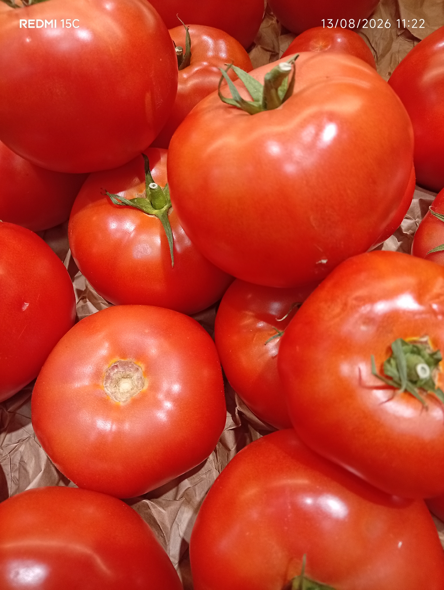 A close-up, overhead shot displays a pile of ripe, red tomatoes. The tomatoes vary in size and shape, with some featuring prominent stems. The background consists of crumpled brown paper, suggesting a market or grocery setting. In the upper left corner, the text "REDMI 15C" is visible, and in the upper right corner, the date and time "13/08/2026 11:22" are displayed. The lighting is bright, casting reflections on the glossy surfaces of the tomatoes. The image is taken from an unknown location in Unknown, Unknown.