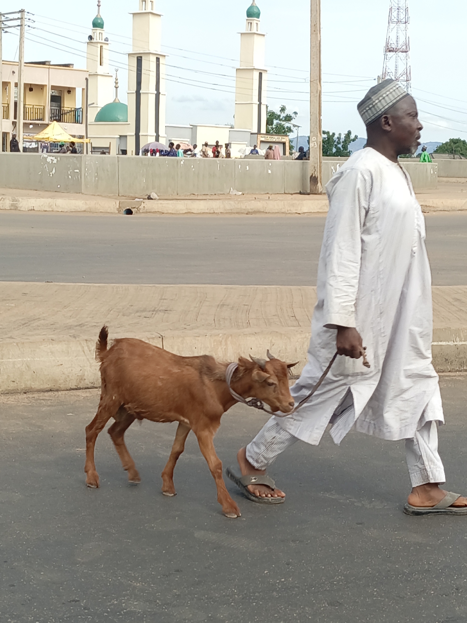An elderly African man dressed in a white robe and a cap is walking down the street in Akwanga, Nigeria, leading a brown goat with a rope. They are walking on a paved street with a concrete barrier on the left side. In the background, there's a building with a green-domed mosque and a tall communication tower. People are visible in the background near the mosque. The man is wearing sandals. The goat is light brown.