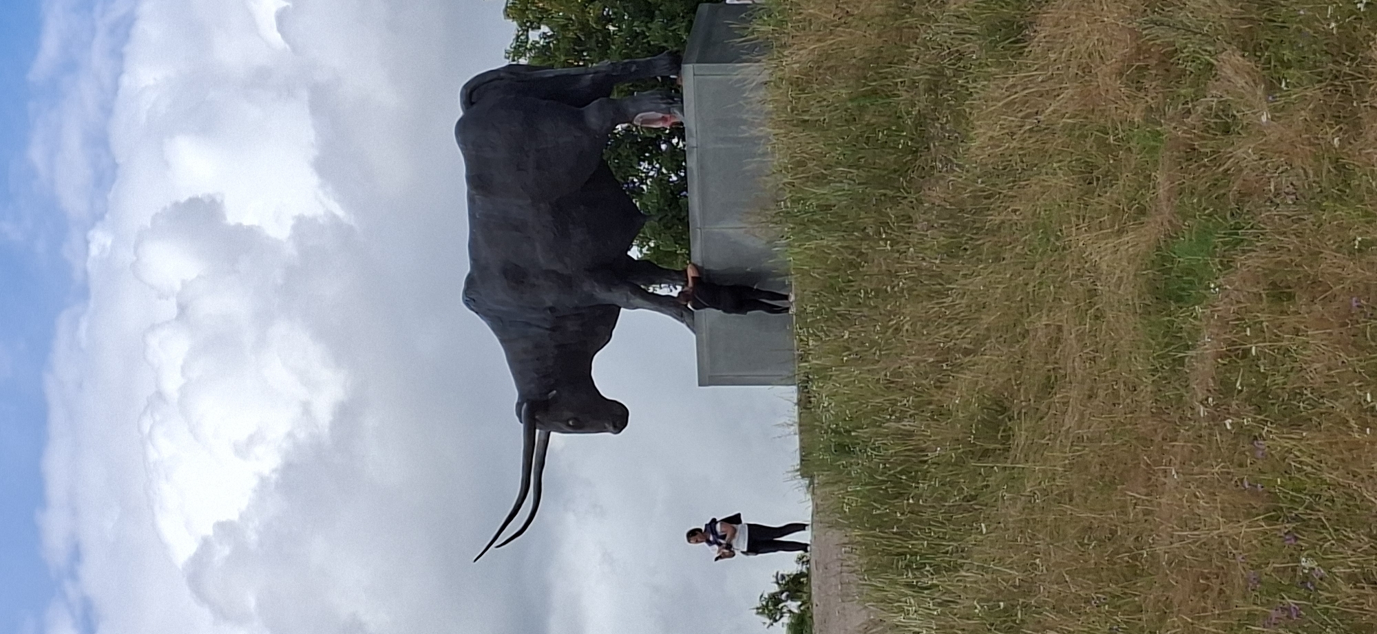 The image shows a large, dark sculpture of a bull with long horns, positioned on a raised concrete platform. In the foreground, tall, dry grass and some scattered wildflowers are visible. Two individuals are interacting with the sculpture. On the left, a person wearing a white top, black pants, and a blue sweater tied around their shoulders stands looking at a device, possibly a phone. On the right, another person, dressed in black, is leaning over the edge of the platform, with their arms resting on the sculpture. The background features a cloudy sky with patches of lighter blue and some trees to the right of the sculpture. This sculpture is known as "Bull" and is a prominent landmark in the city of Rakvere, Estonia, located at the top of the Vallimägi (Rally Hill).