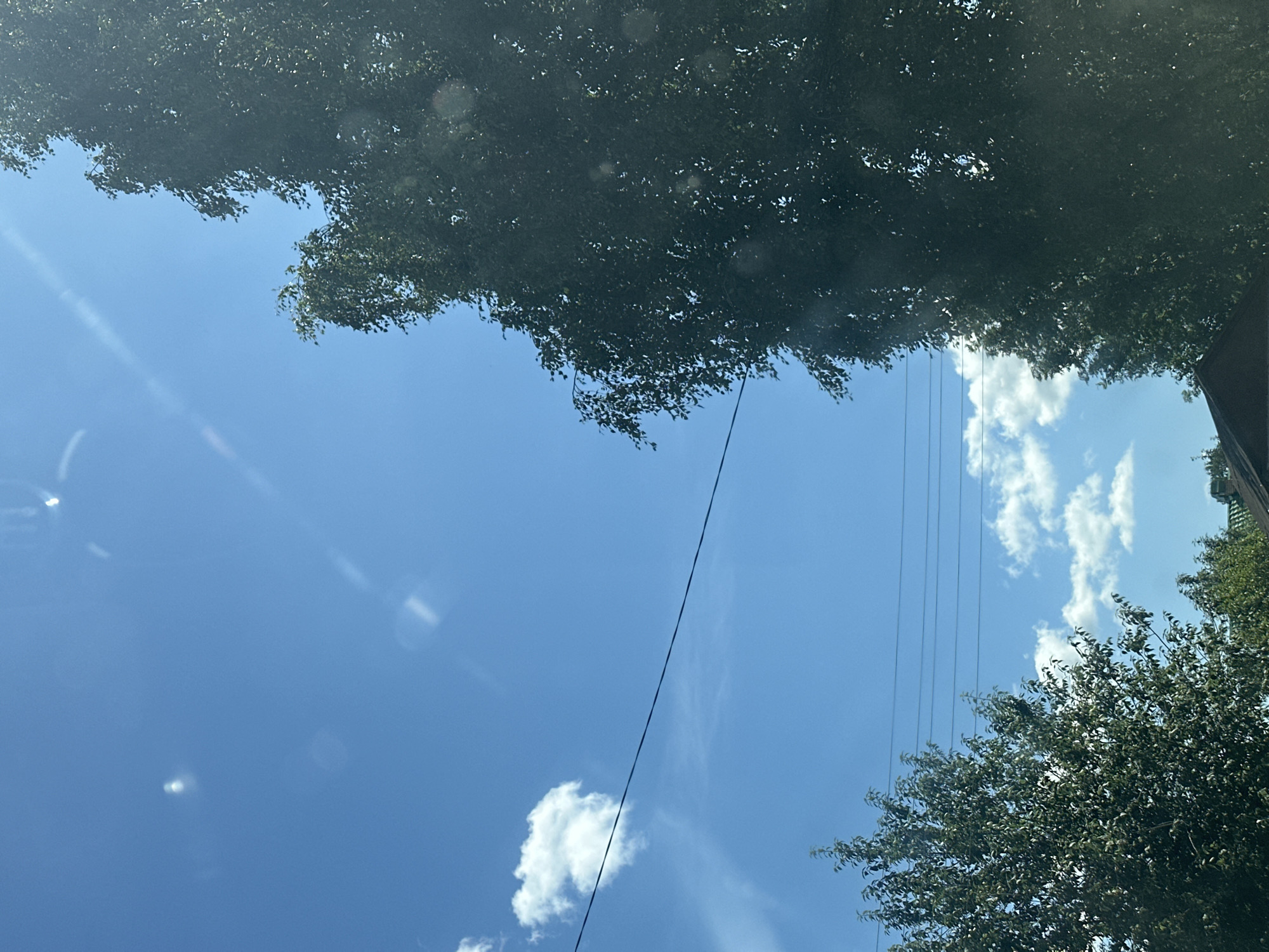 This is a vertical, medium shot of a clear blue sky with scattered white clouds, viewed through foliage. In the foreground, on the right, is a large, dark green tree with dense foliage. On the left, a smaller, lighter green tree is partially visible. Multiple dark wires are strung horizontally across the sky. A dark-tiled roof of a building is visible at the bottom of the frame. The image appears to have been taken in Plesetsk, Russia, as indicated by the provided metadata.