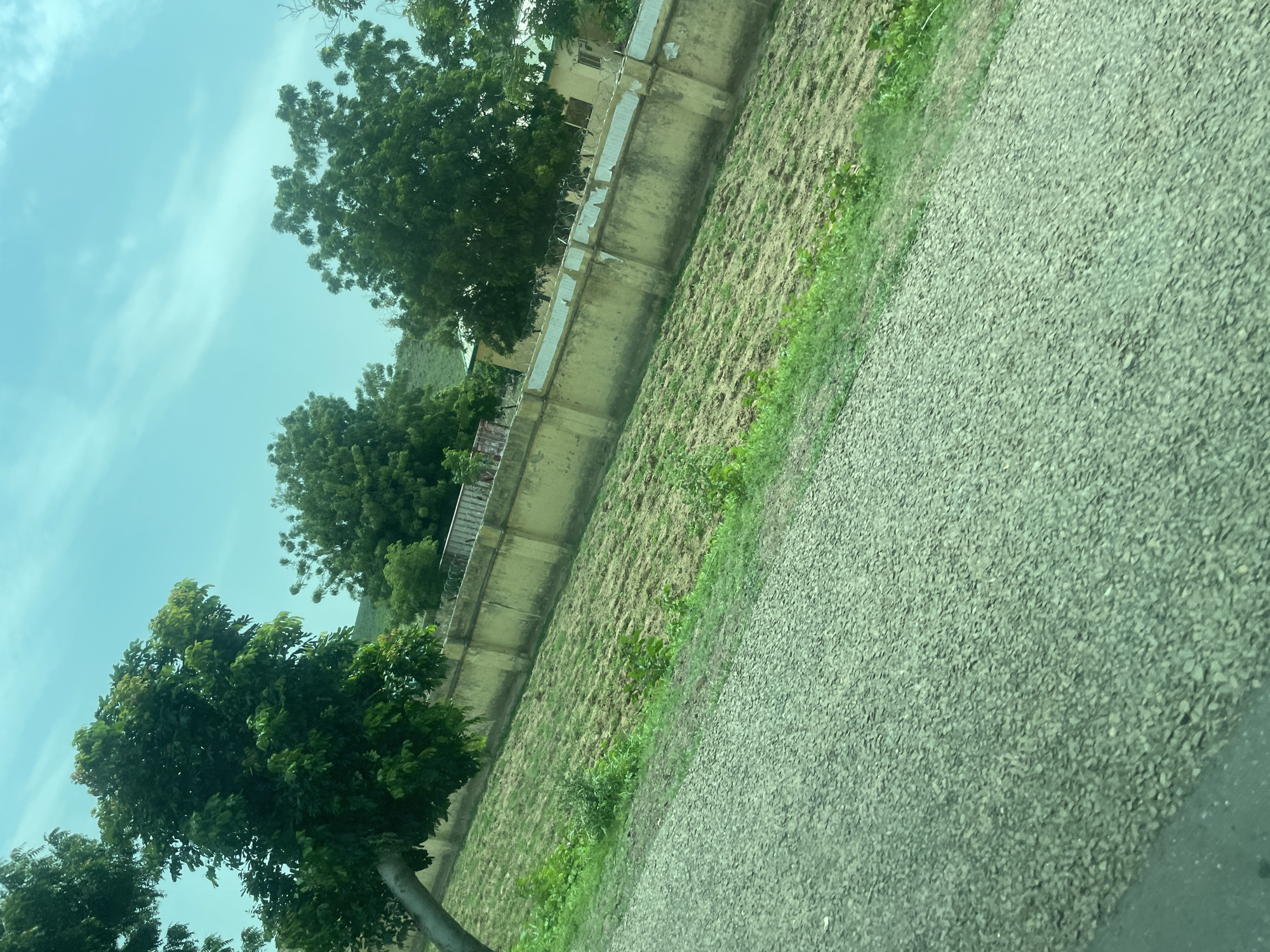 This image, taken in Legro Aba, Nigeria, depicts a rural scene dominated by agricultural land and natural vegetation. A textured, light-colored road, likely made of gravel or asphalt, occupies the foreground and extends diagonally across the frame from left to right. Adjacent to the road, to the right and further back, is a cultivated field characterized by rows of tilled soil with scattered patches of green growth. A low, light-yellow wall, topped with barbed wire, runs parallel to the field, separating it from the background. Beyond the wall, several mature trees with dense green foliage are visible, some casting shadows. In the far background, hints of buildings and a hillside covered in vegetation suggest the presence of a settlement or natural landscape. The sky is a pale, hazy blue with wispy white clouds, indicating daylight. No people or animals are visible in the frame.