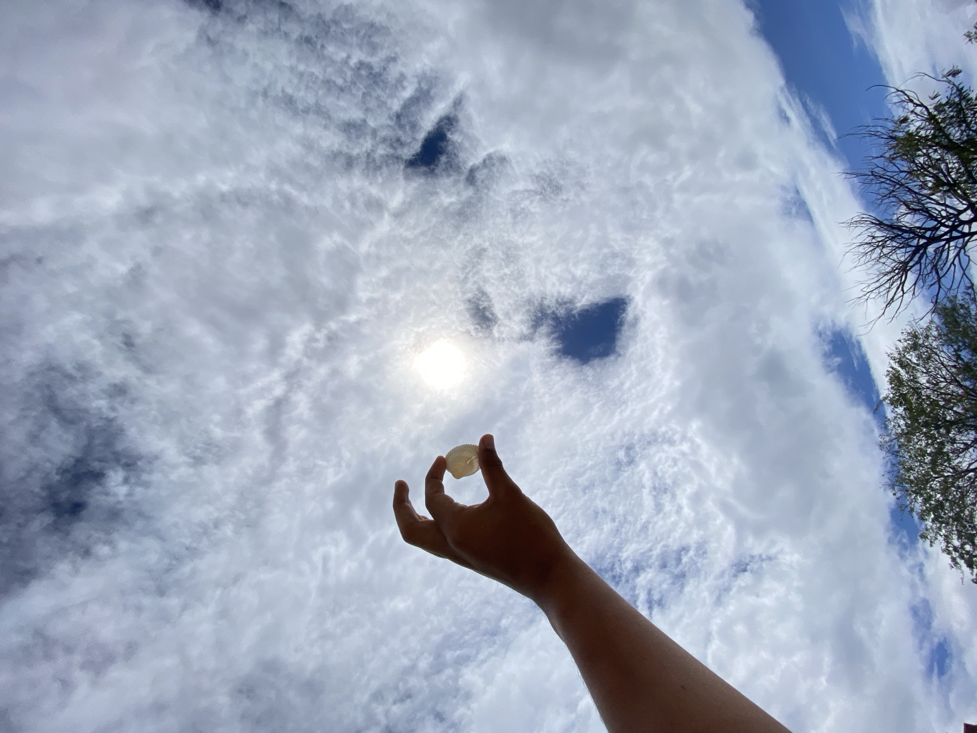 A low-angle shot, potentially taken from ground level in Juan Griego, Venezuela, shows a person's arm extending upward, holding a small, translucent seashell between the thumb and forefinger. The shell is positioned near the sun, which is visible through a break in the cloud cover. The sky is filled with a mix of white and gray clouds with patches of blue sky. Tree branches with sparse foliage are visible in the upper right corner of the frame.
