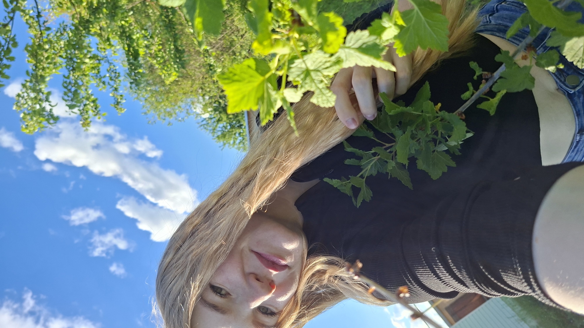 The image is an outdoor shot taken in Большой Букор, Russia, featuring a woman with long, blonde hair, wearing a black shirt and a denim jacket. She is positioned in front of a clear blue sky with scattered white clouds, partially obscured by green tree branches and foliage. The woman is holding a branch with green leaves. The foreground is dominated by the woman's face and upper body, while the background shows trees and the sky. The perspective of the photograph is from a low angle, looking upwards.