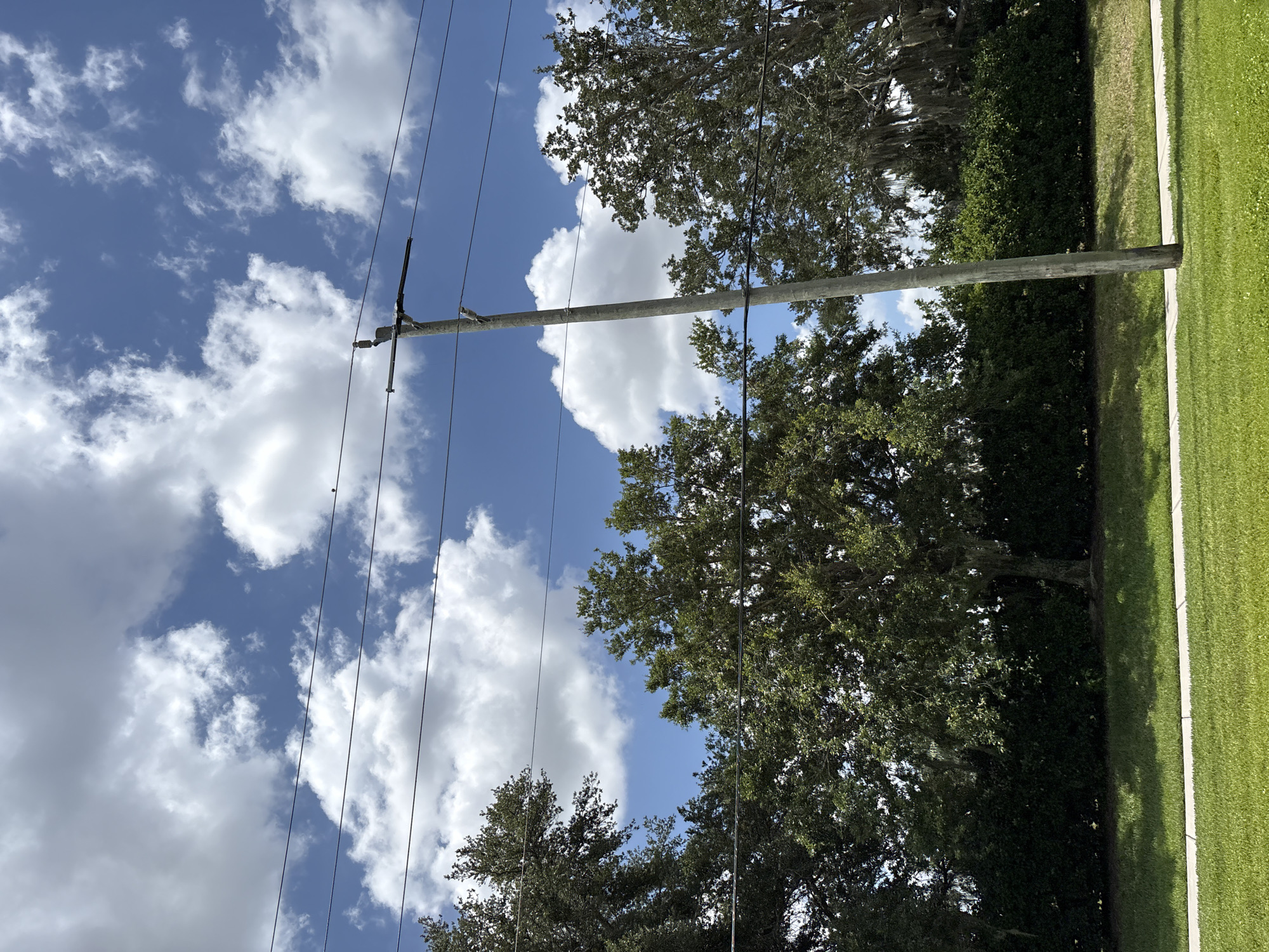 The image captures a clear sky with scattered white clouds above a row of trees and a utility pole. The scene is outdoors, likely in Bradenton, United States of America, given the foliage typical of the region. The utility pole, made of concrete, stands tall, supporting several electrical wires that stretch horizontally across the frame. A small bird is perched on one of these wires, near the top of the pole. Below the trees, a neatly trimmed green lawn runs parallel to a paved walkway. The overall impression is one of a peaceful, residential or suburban setting on a bright day.
